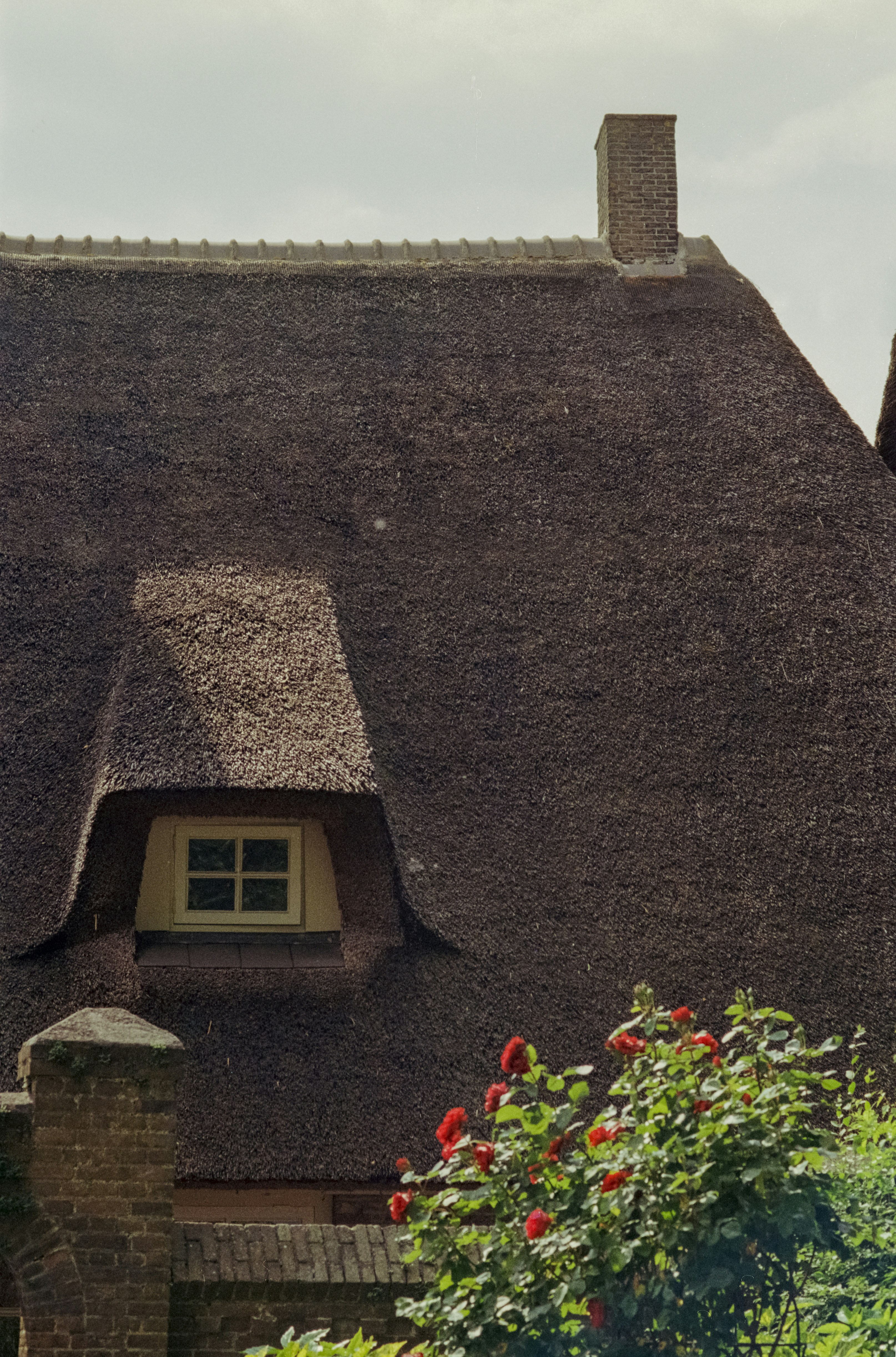 Photo by artistseyes