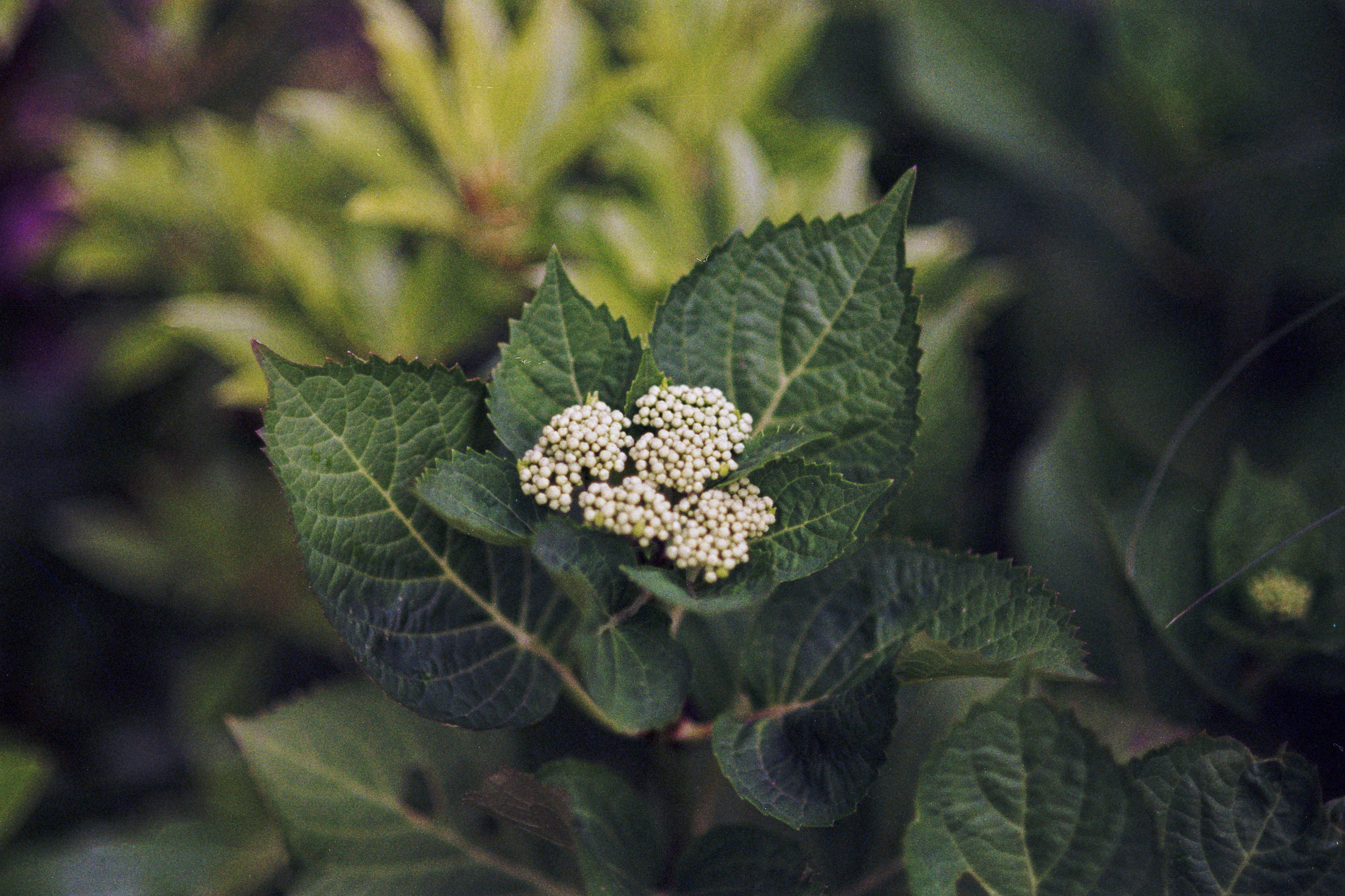 Photo by artistseyes