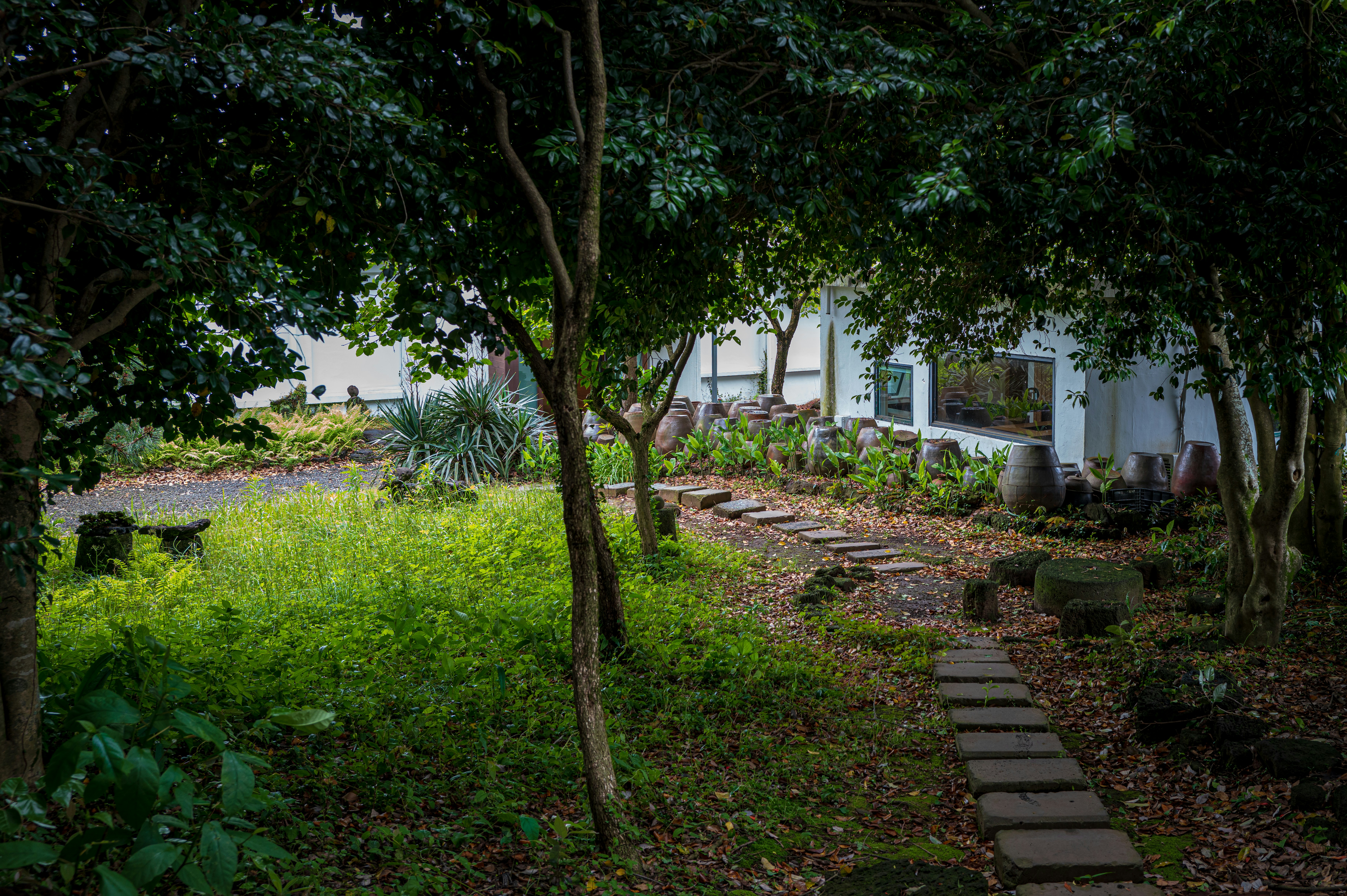 A serene home exterior with green landscaping and a healthy tree, symbolizing the balance between human living spaces and the surrounding ecosystem. - ethical pest control