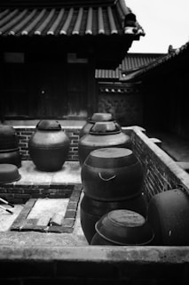 a black and white photo of a row of pots
