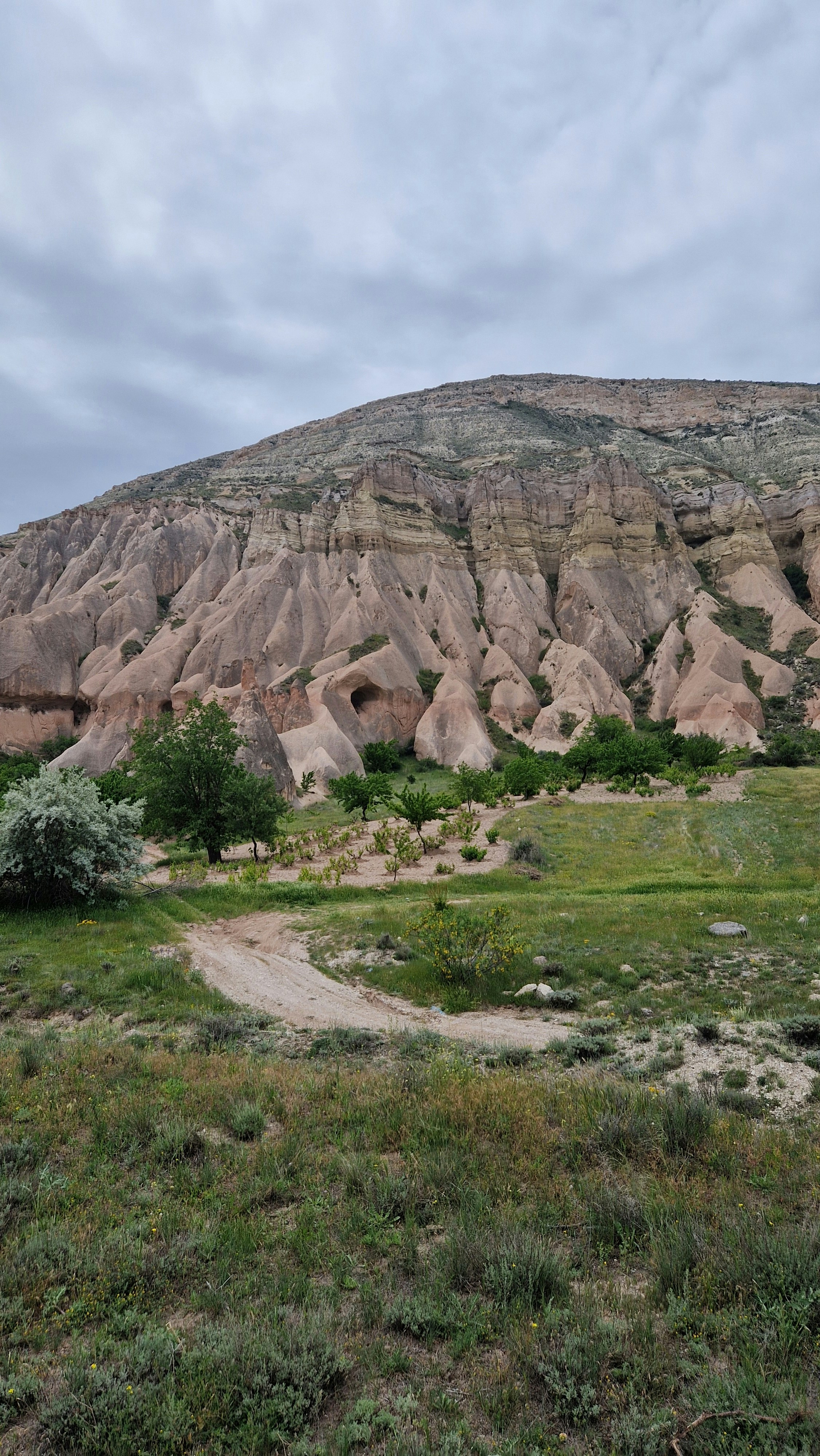 Photo by entrenous_at