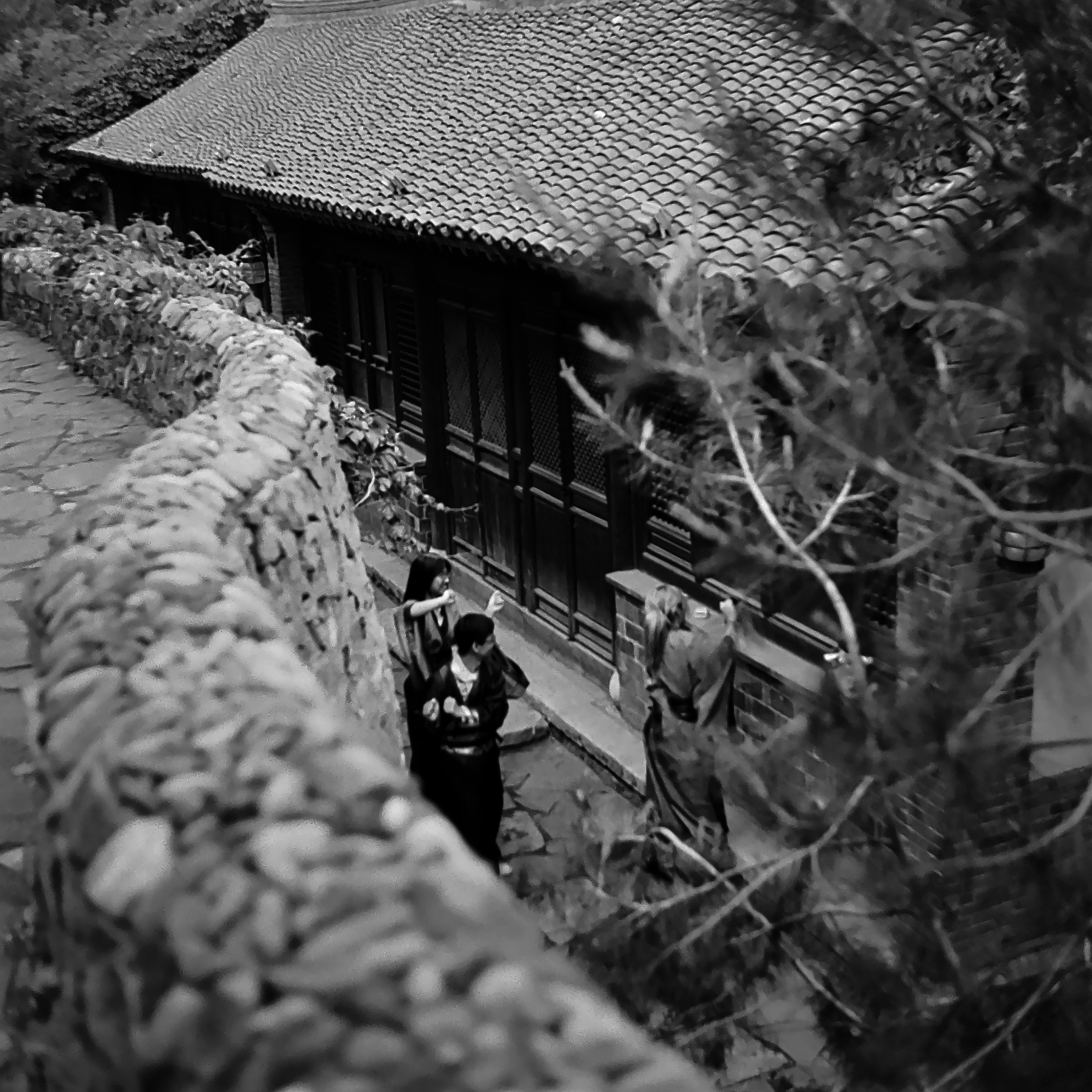 Photo by greedwolf97