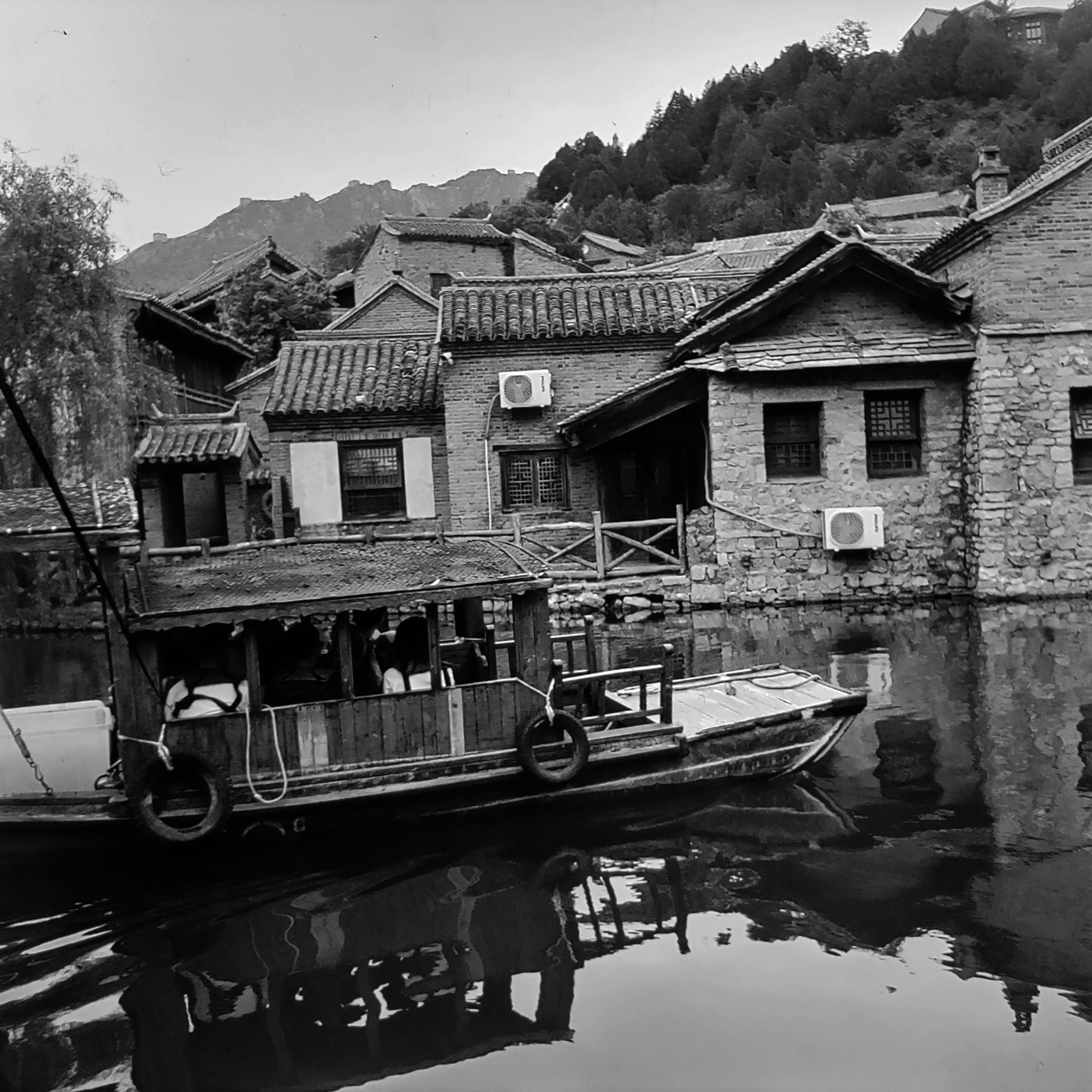 Photo by greedwolf97