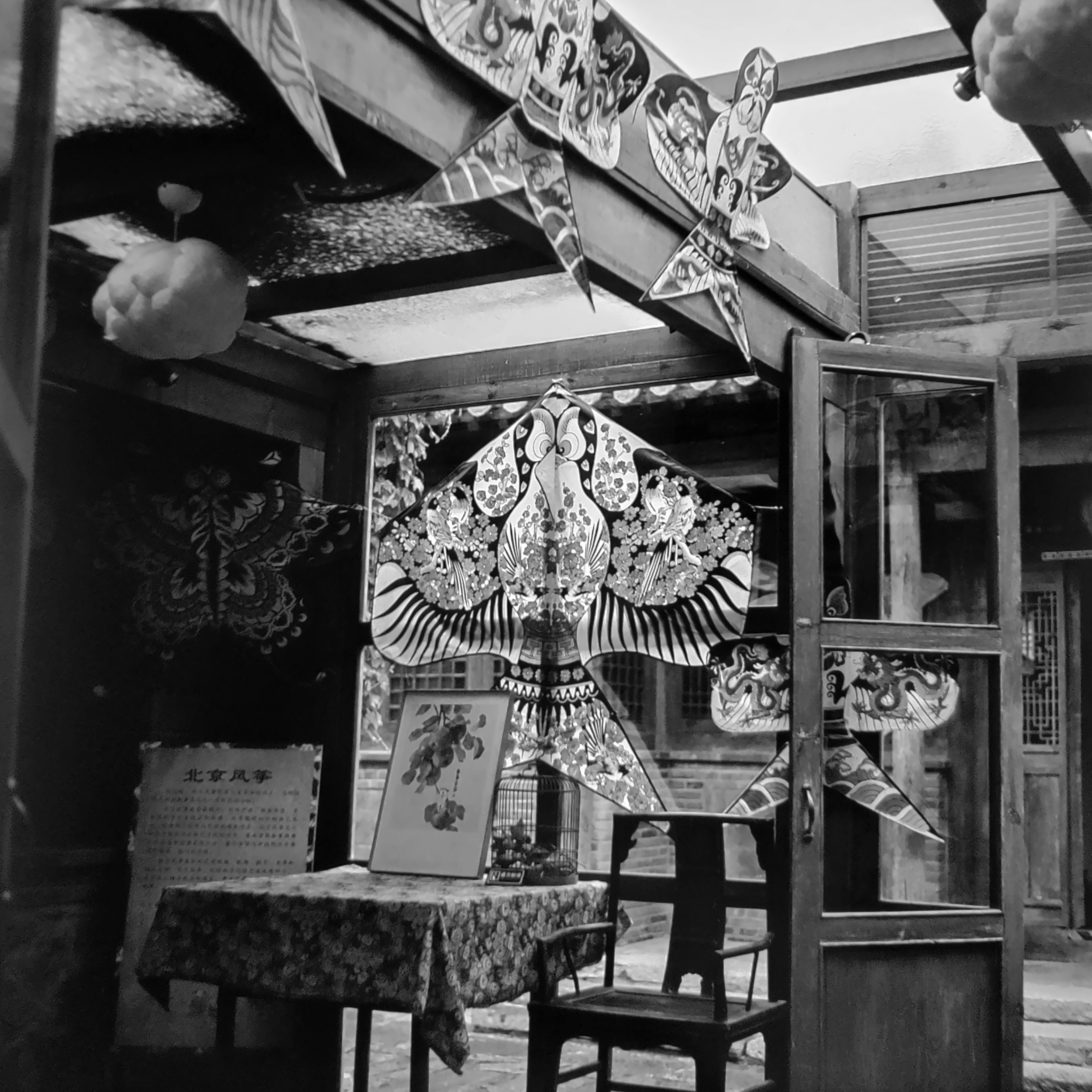 Photo by greedwolf97