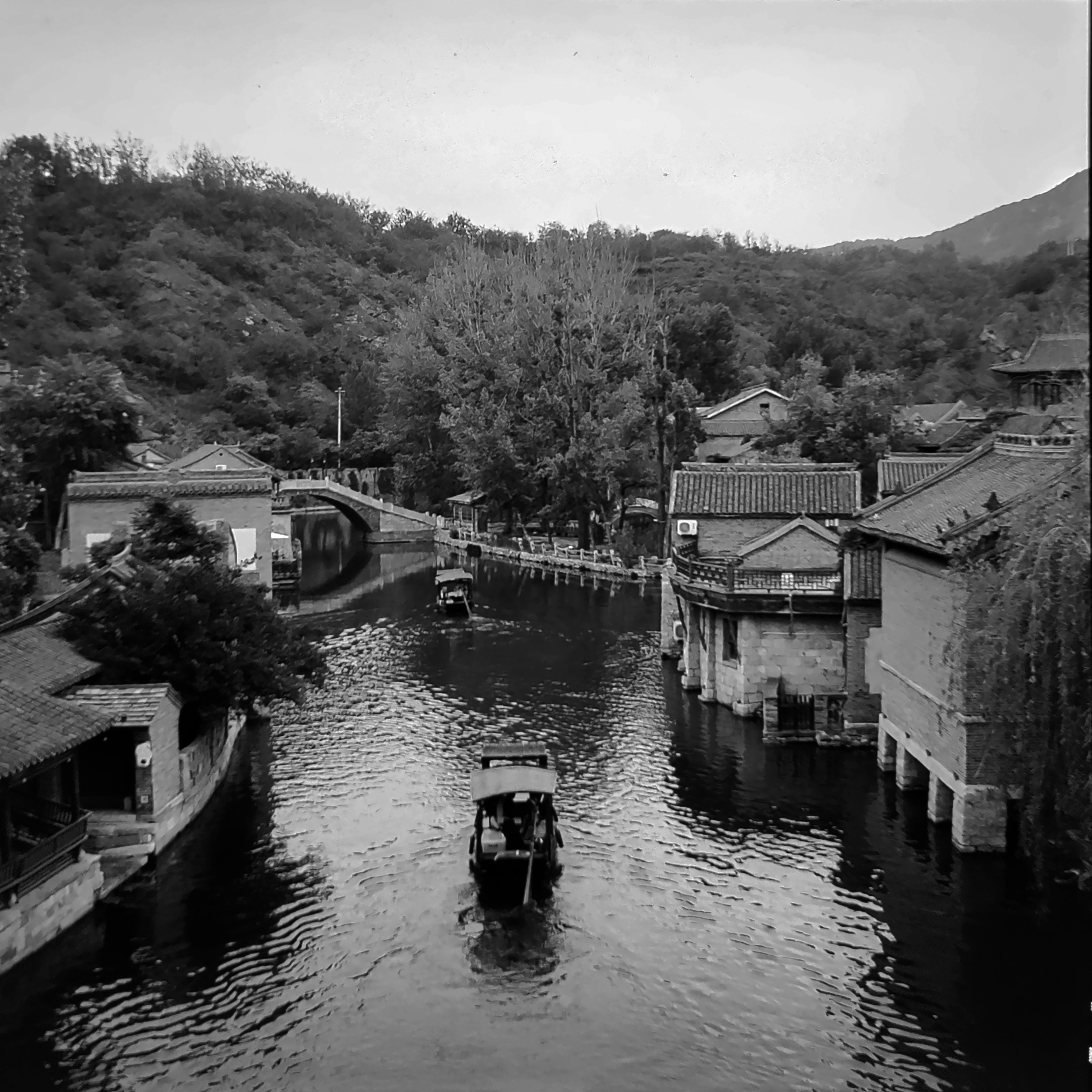 Photo by greedwolf97