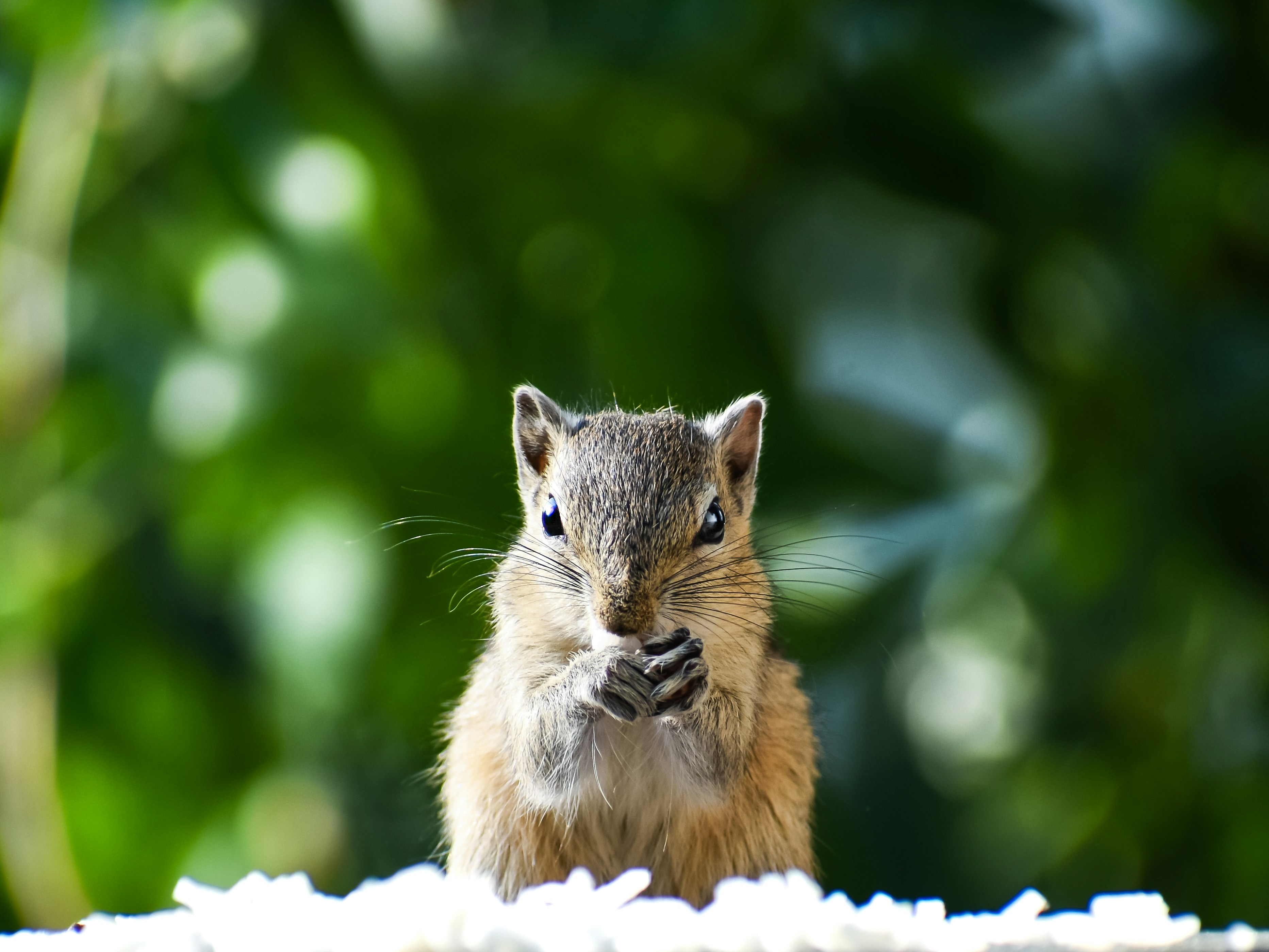 Photo by raymondpaulv