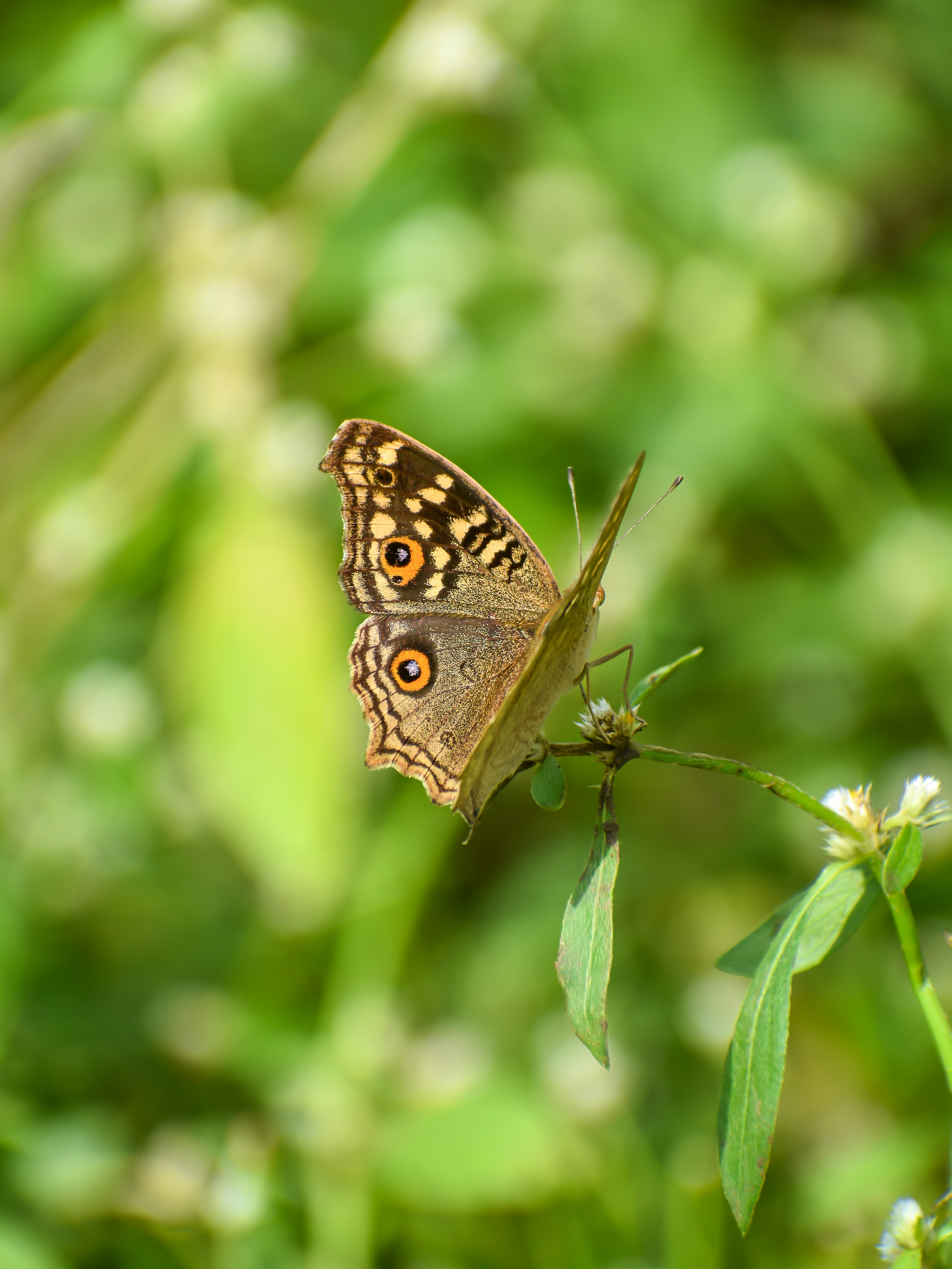 Photo by raymondpaulv