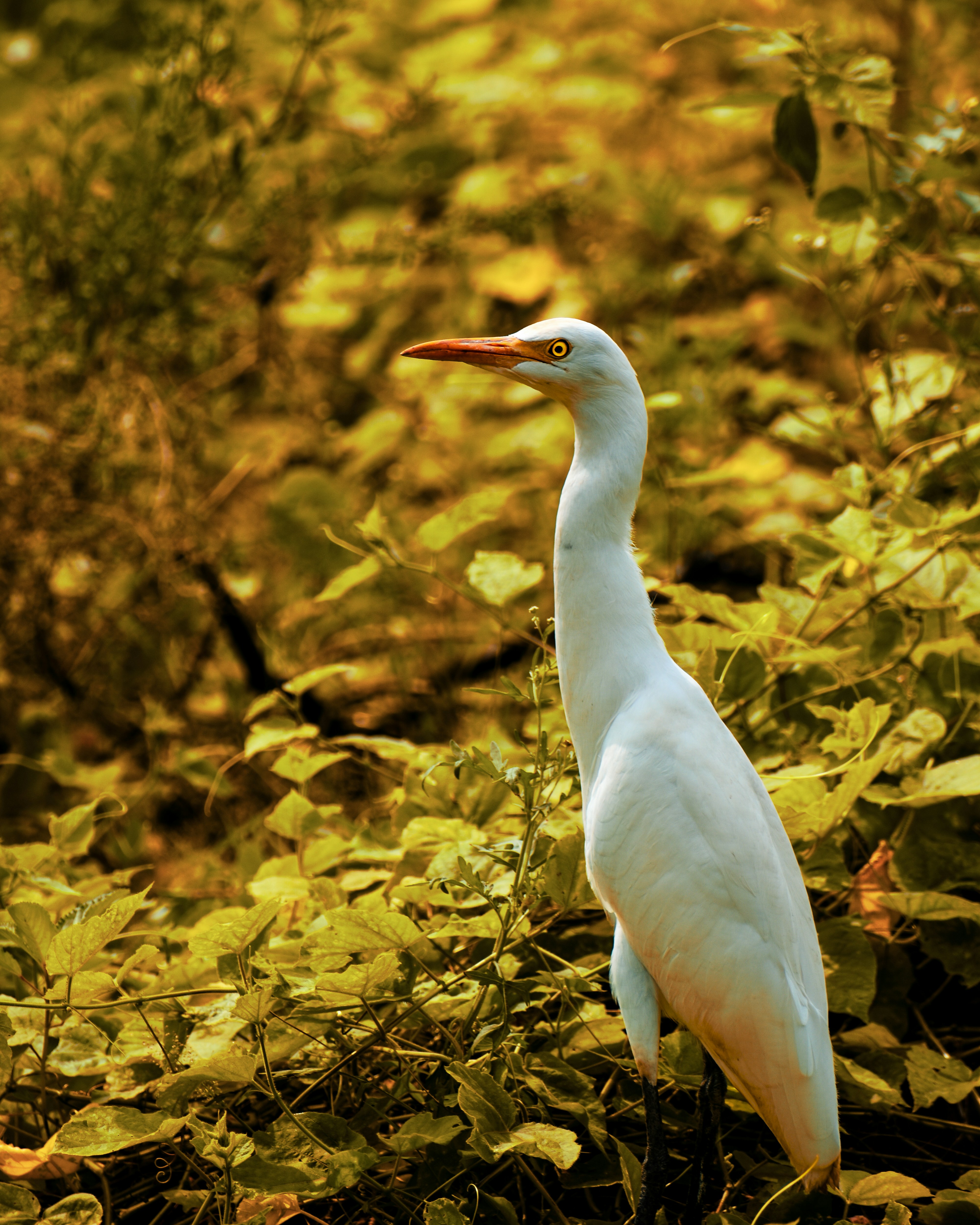 Photo by raymondpaulv