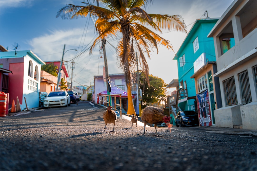 JetBlue Doubles Down on Caribbean Expansion New Crew Base in San Ju… — JetBlue Doubles Down on Caribbean Expansion
