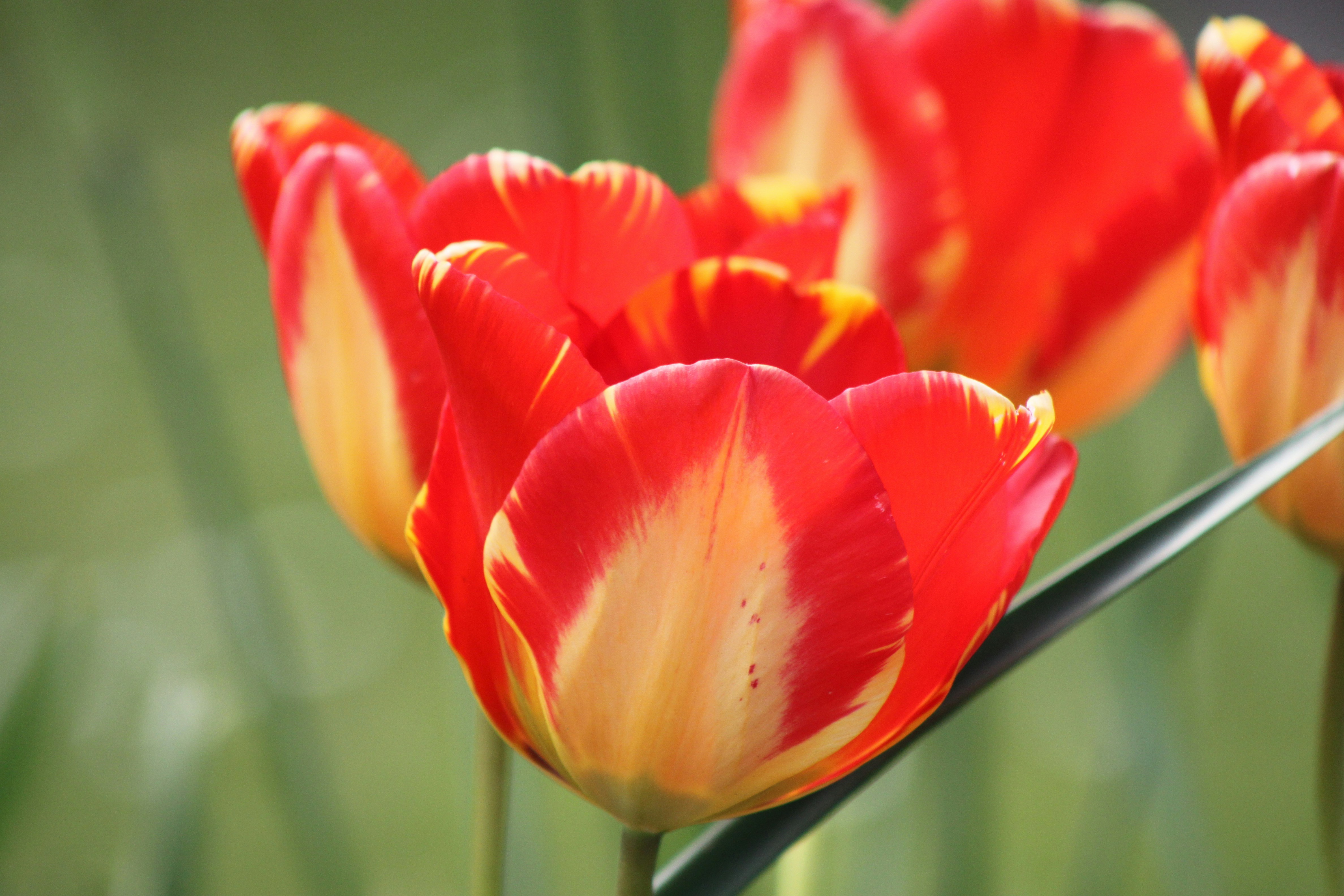 Photo by rubyphotography