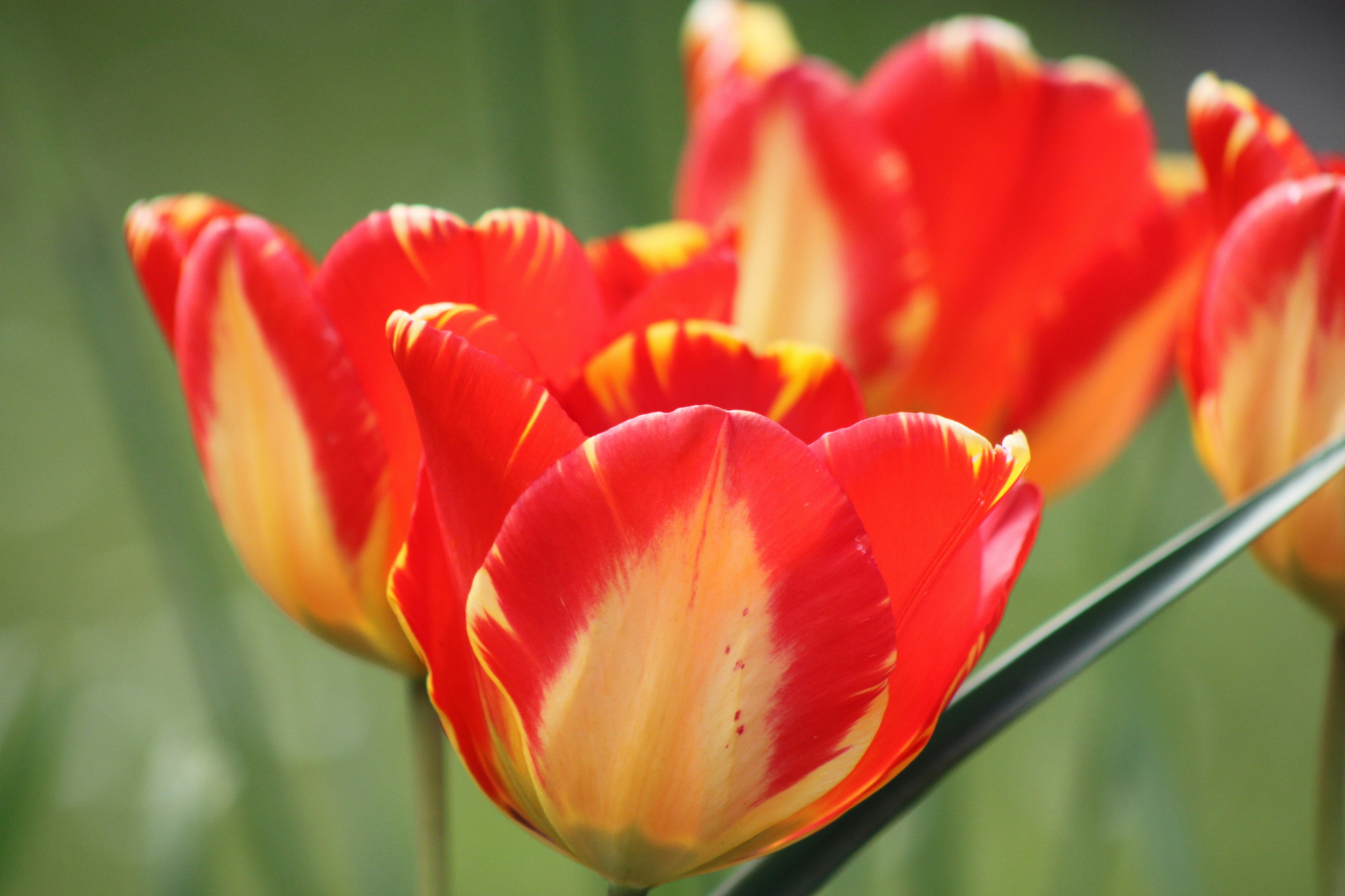 Photo by rubyphotography