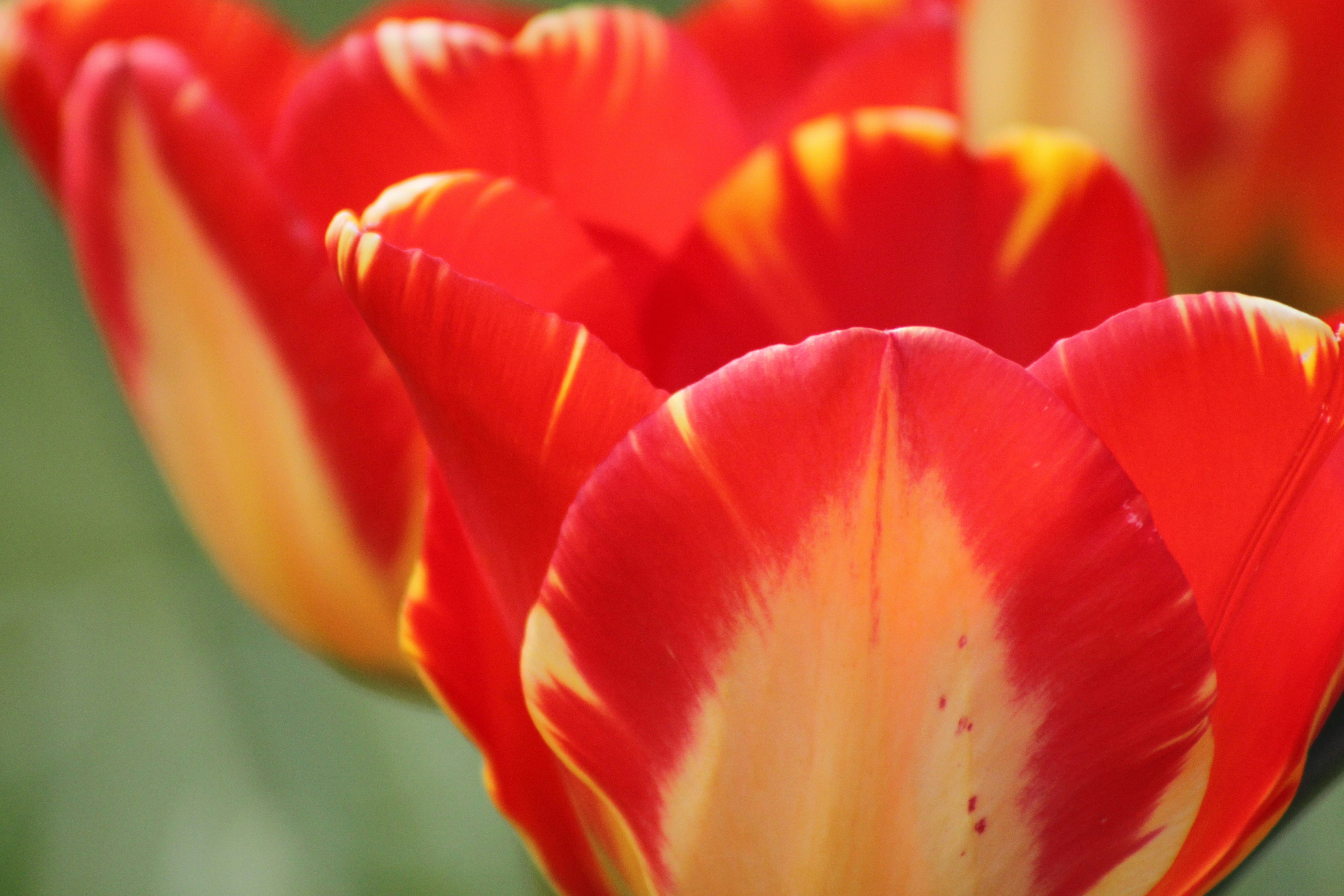 Photo by rubyphotography