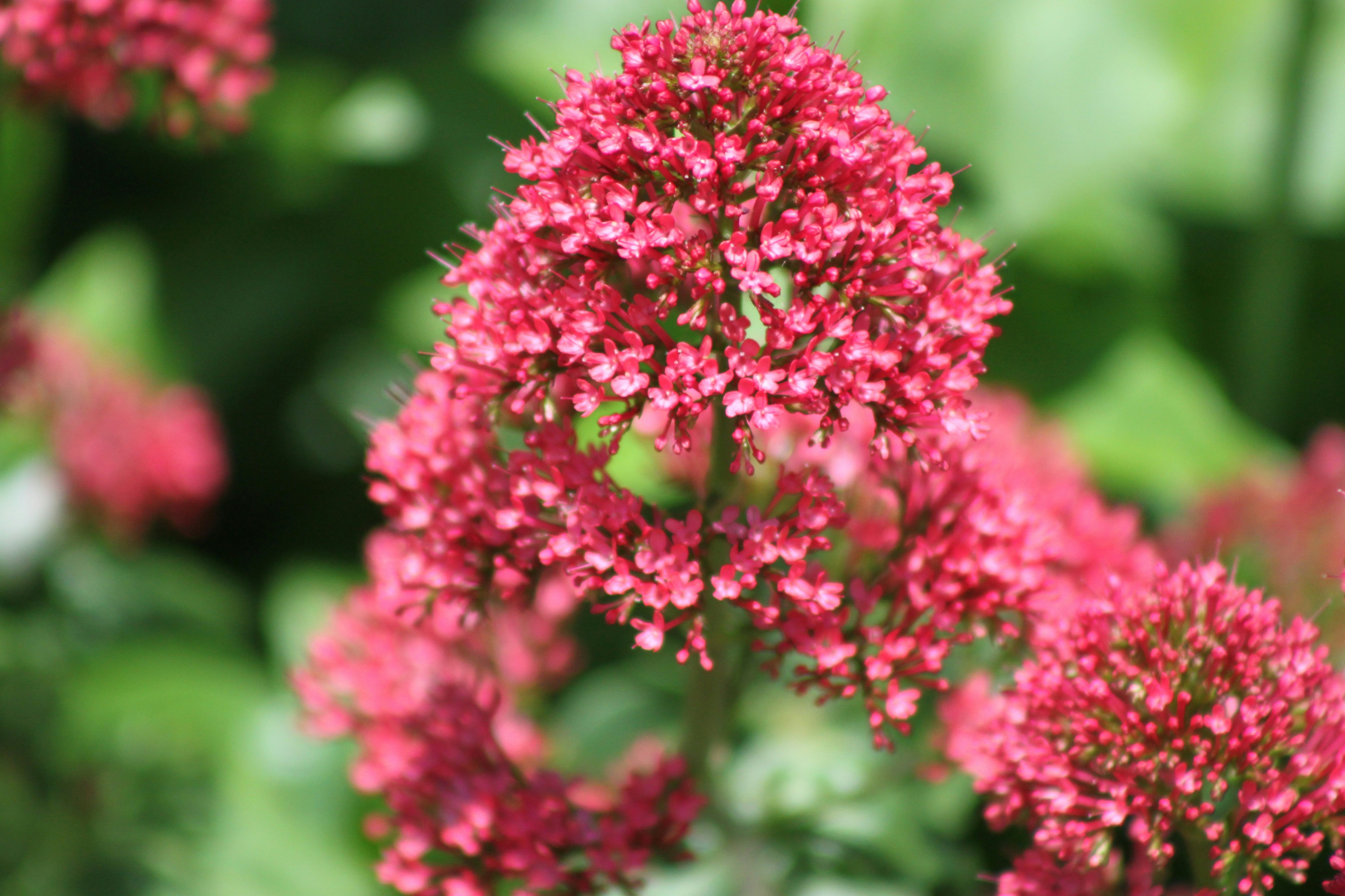 Photo by rubyphotography