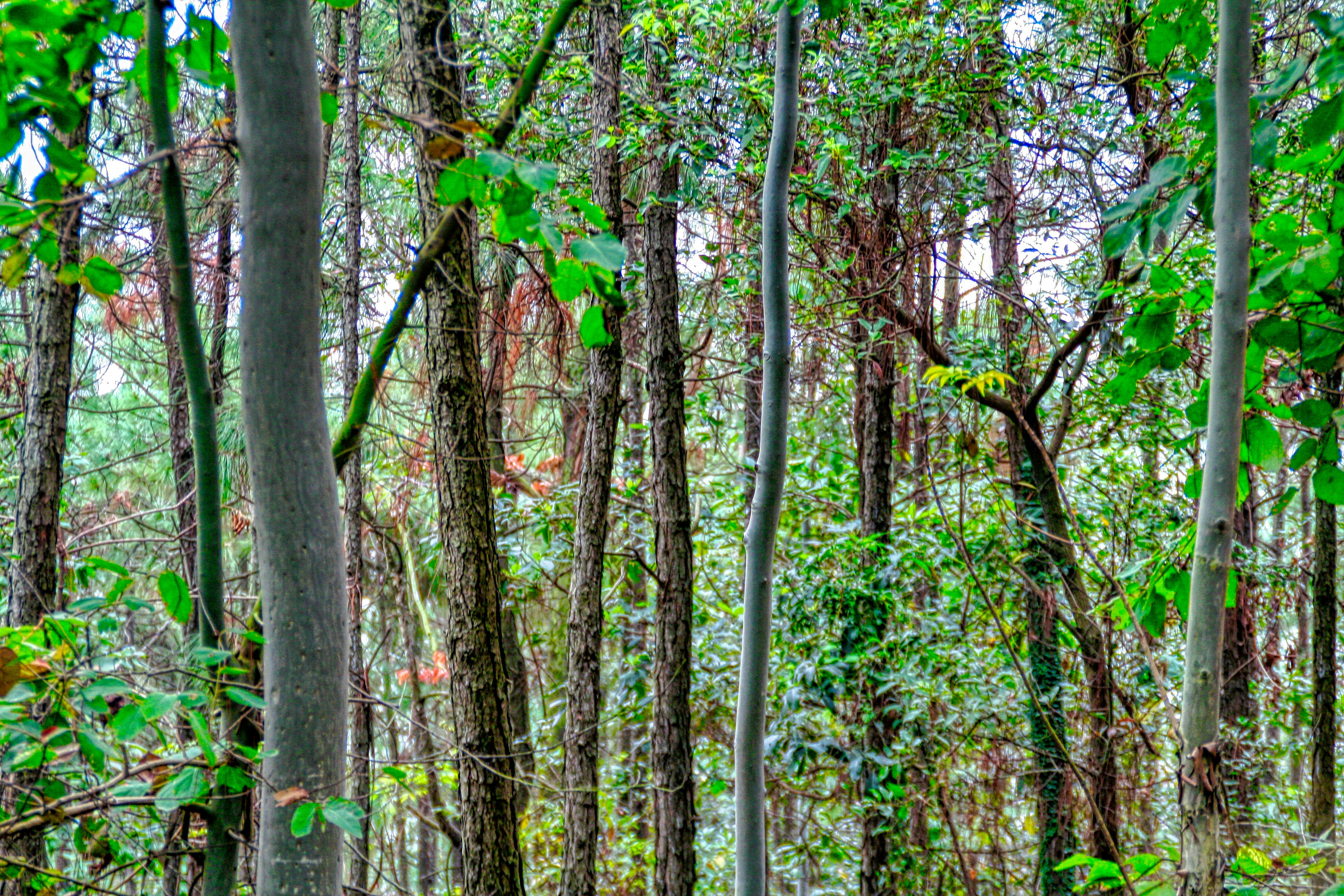 Photo by thomaskinto