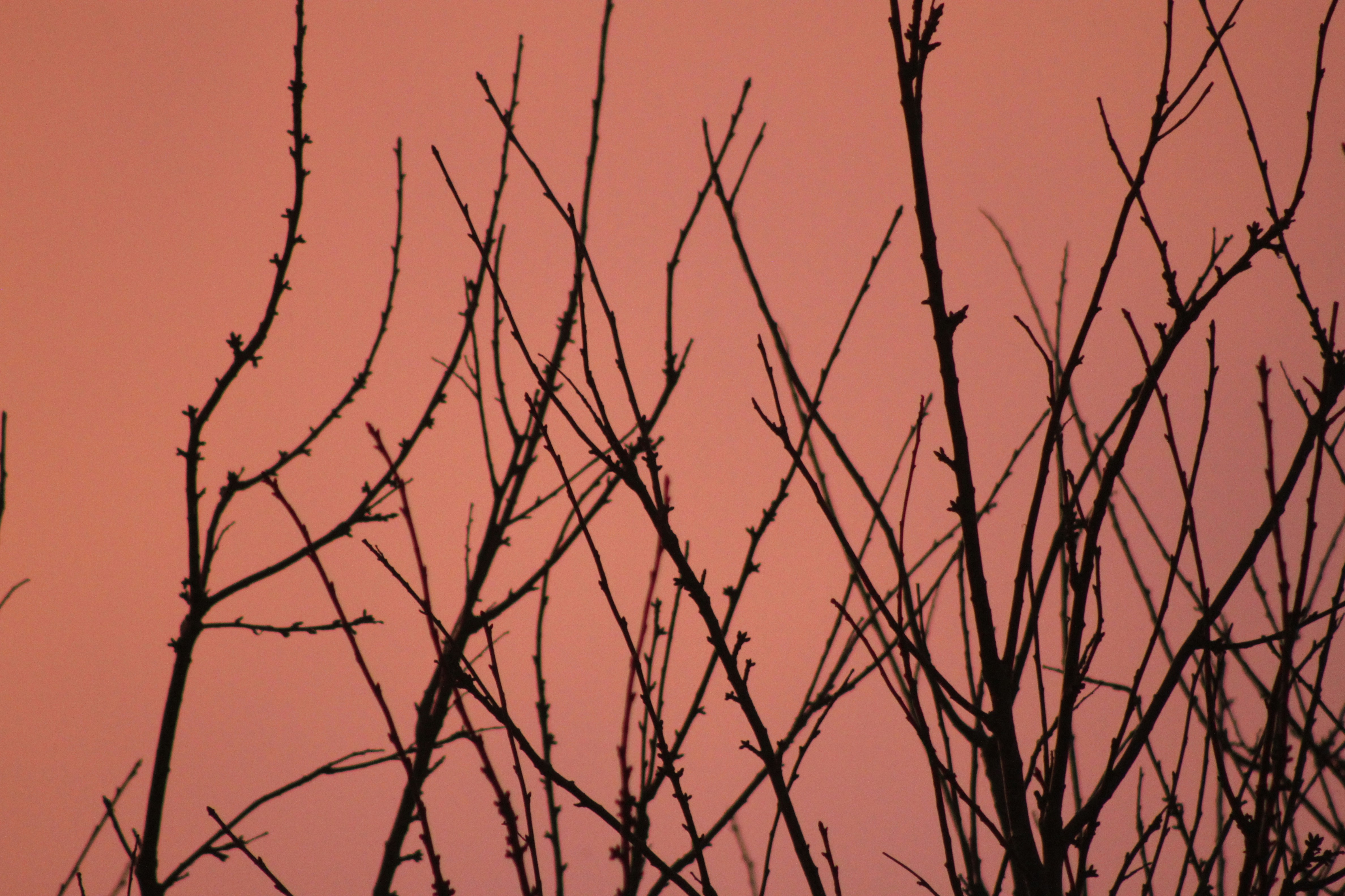 Photo by rubyphotography