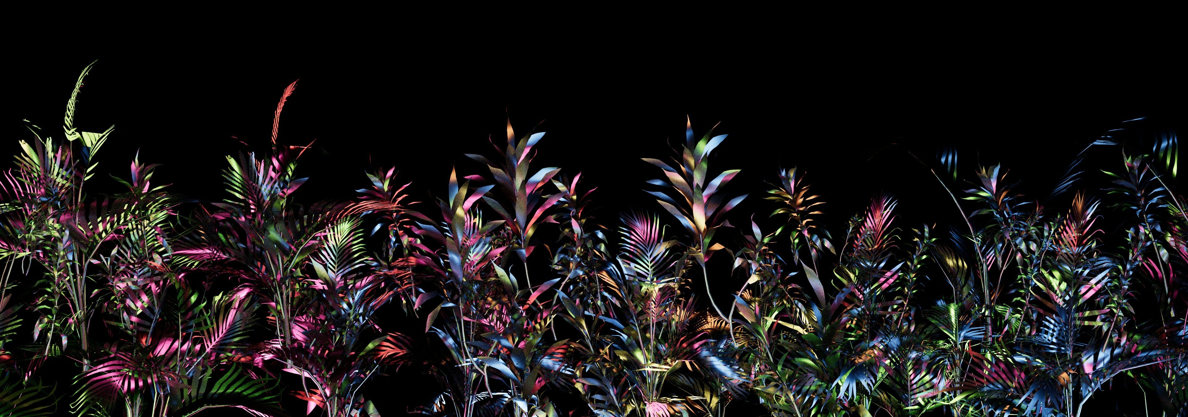 a bunch of plants that are in the dark