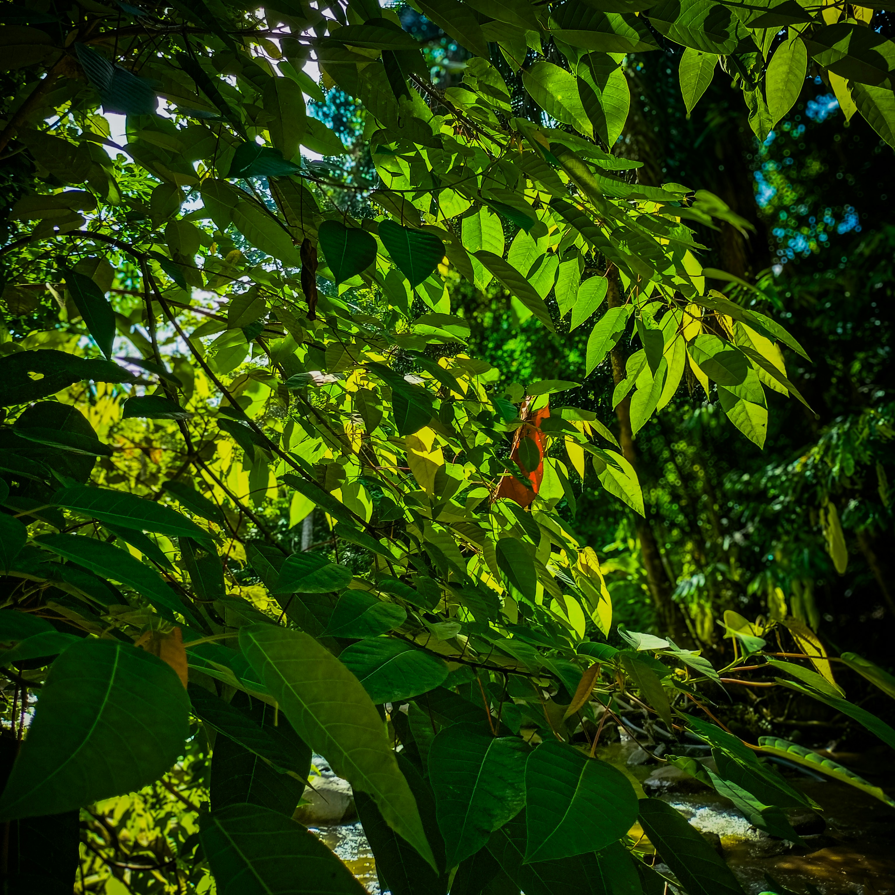 Photo by mrriimn_