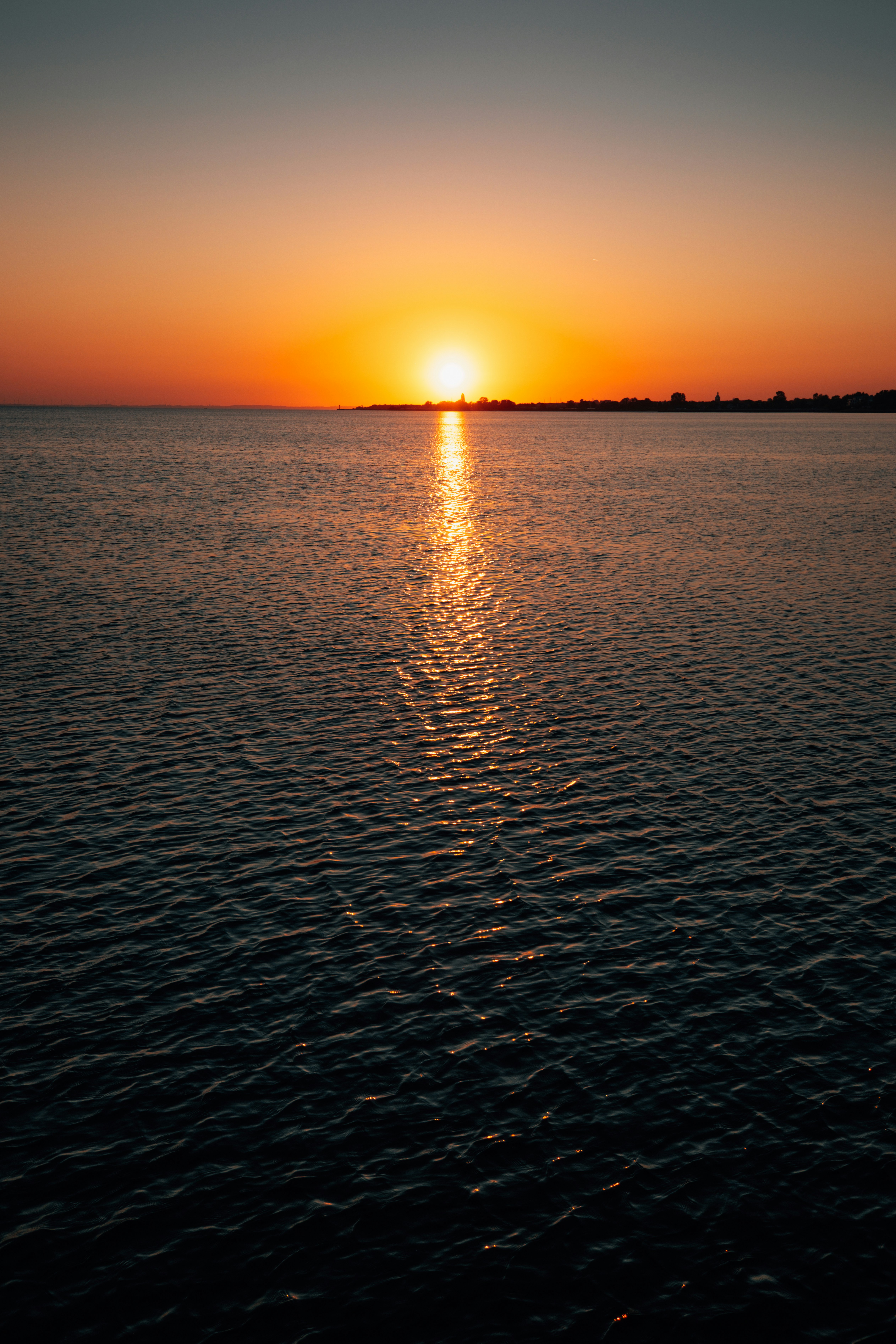 Photo by victor_vector