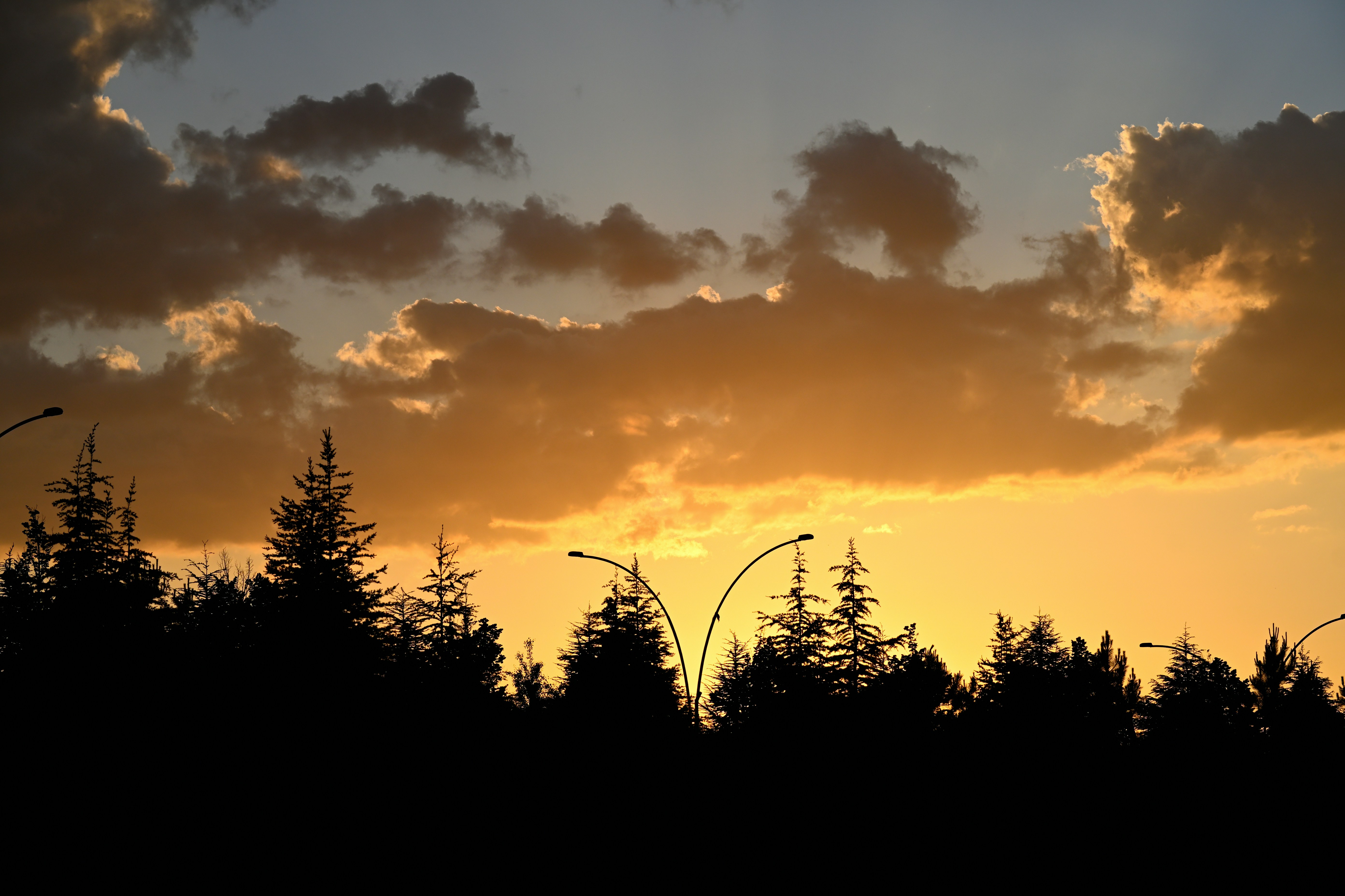 Photo by aminzabardast