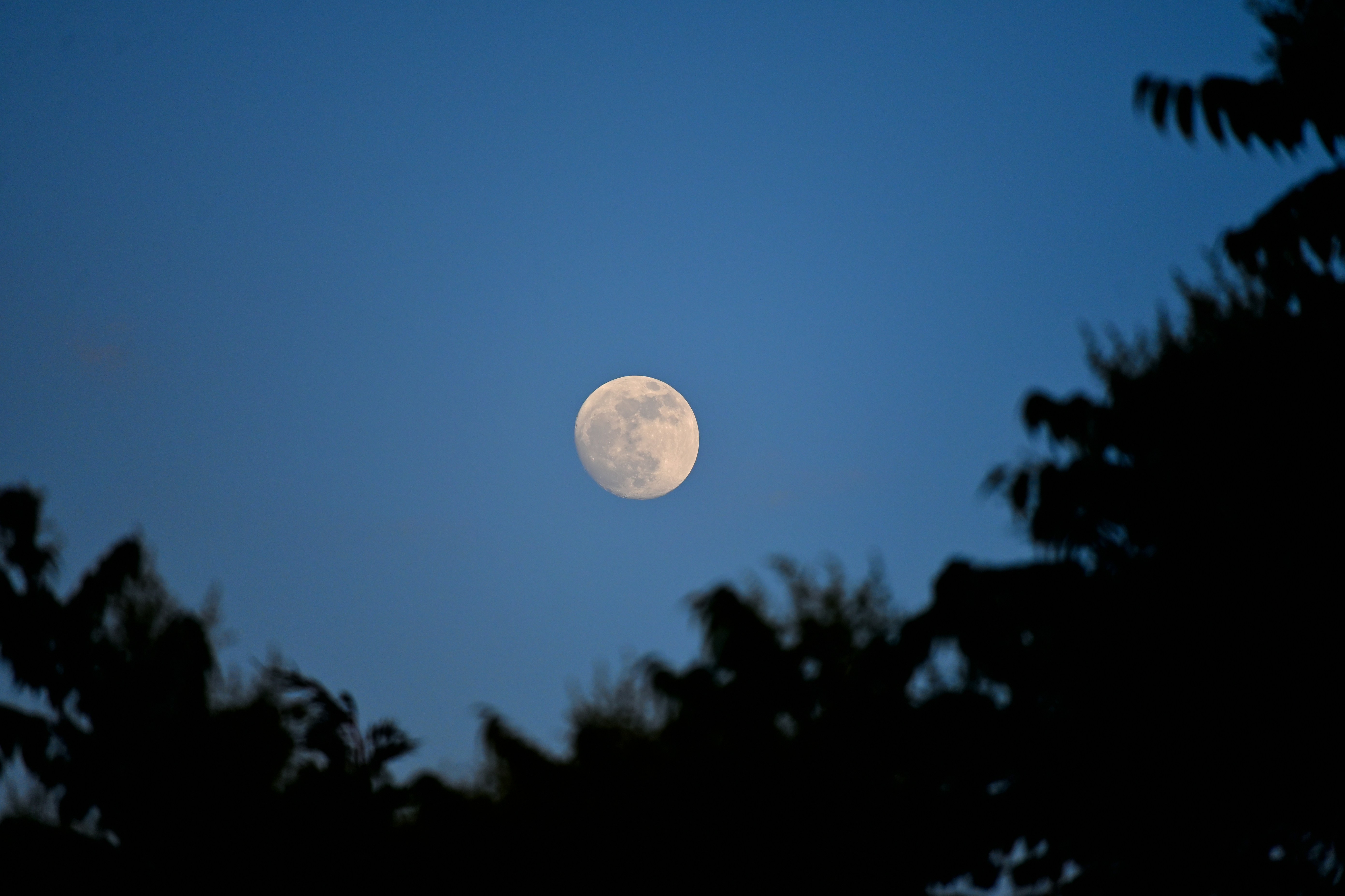 Photo by aminzabardast