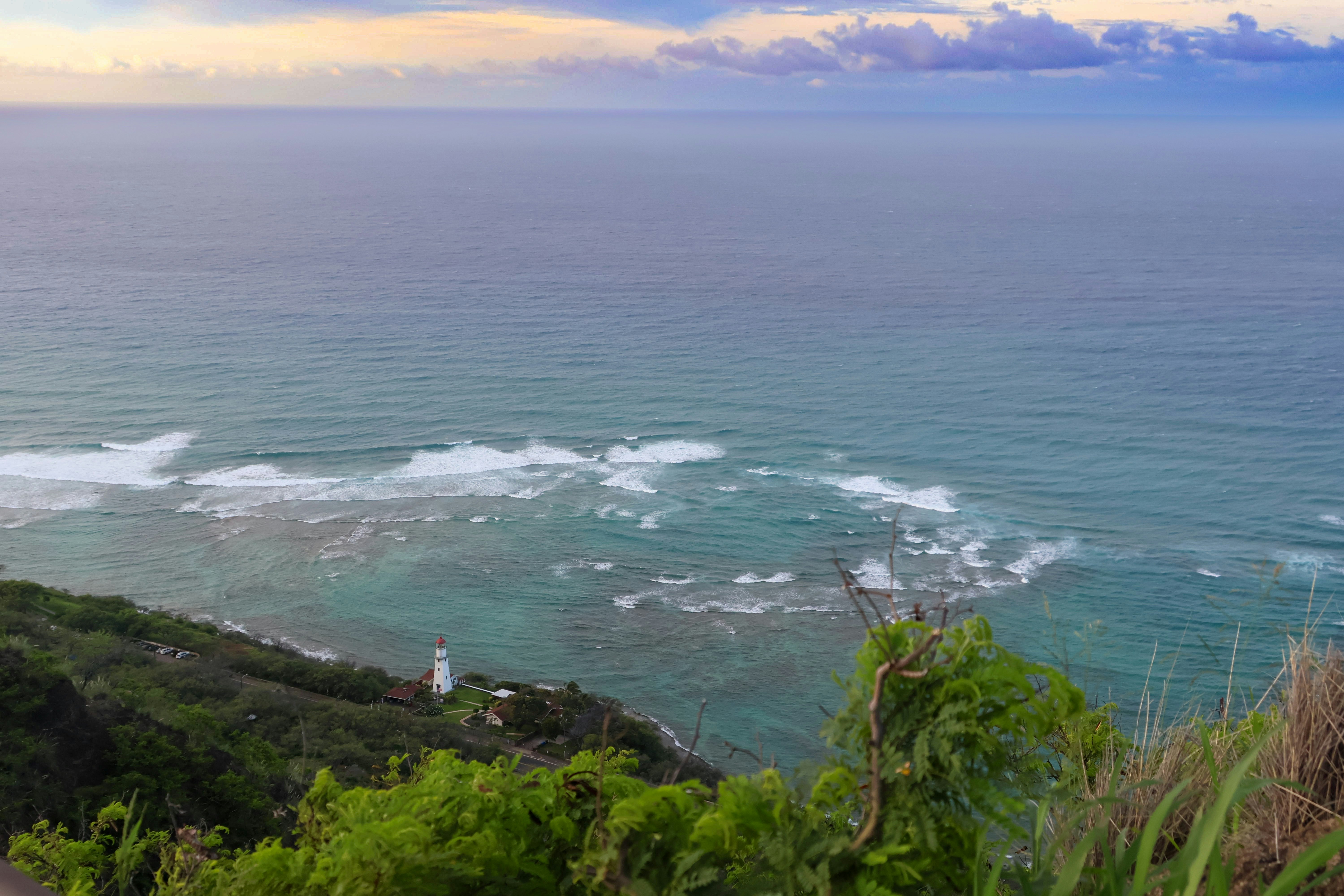 A view of Oahu's coastline and the ocean from a hillside lookout
