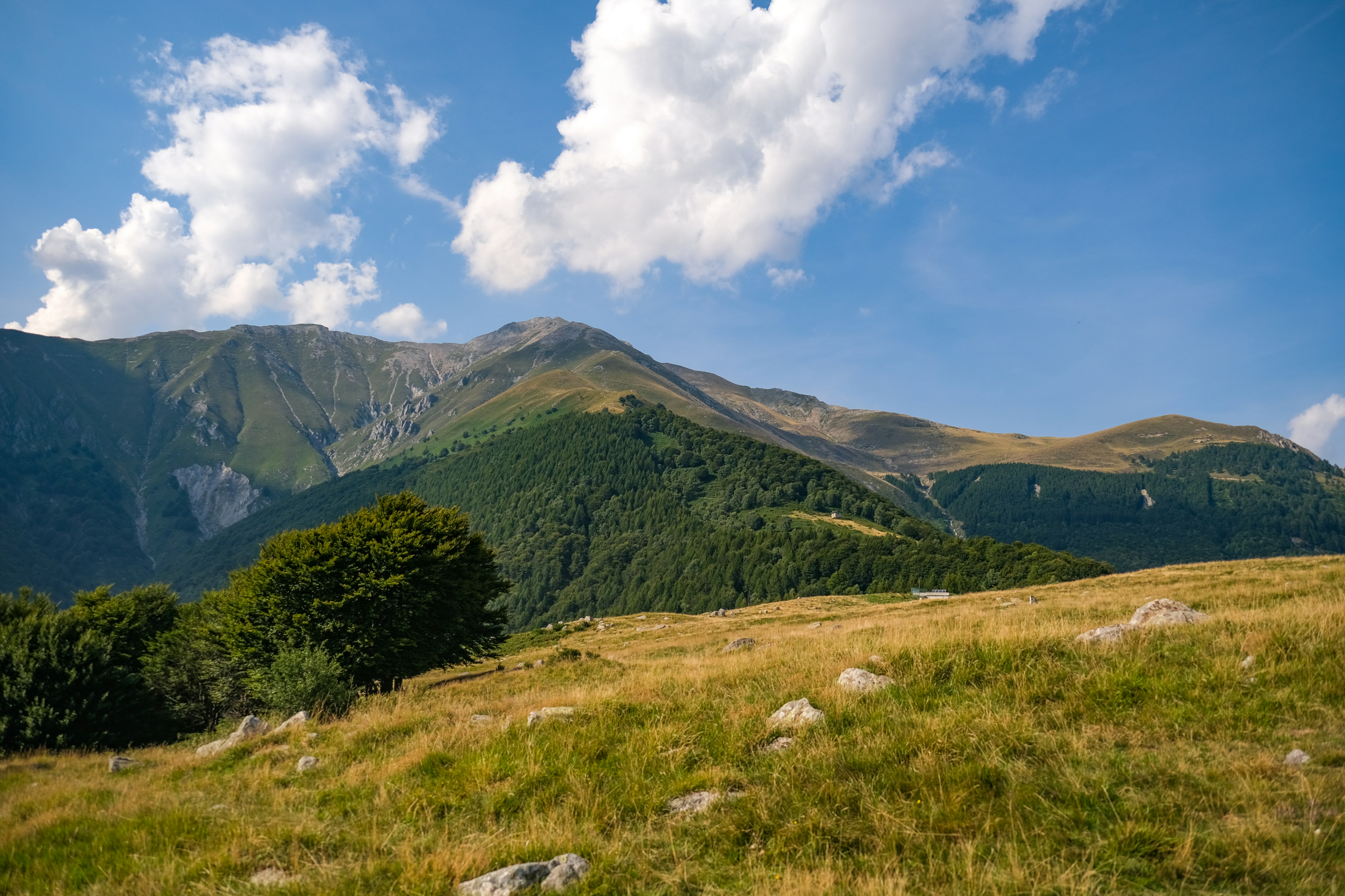 Photo by francesco_ungaro