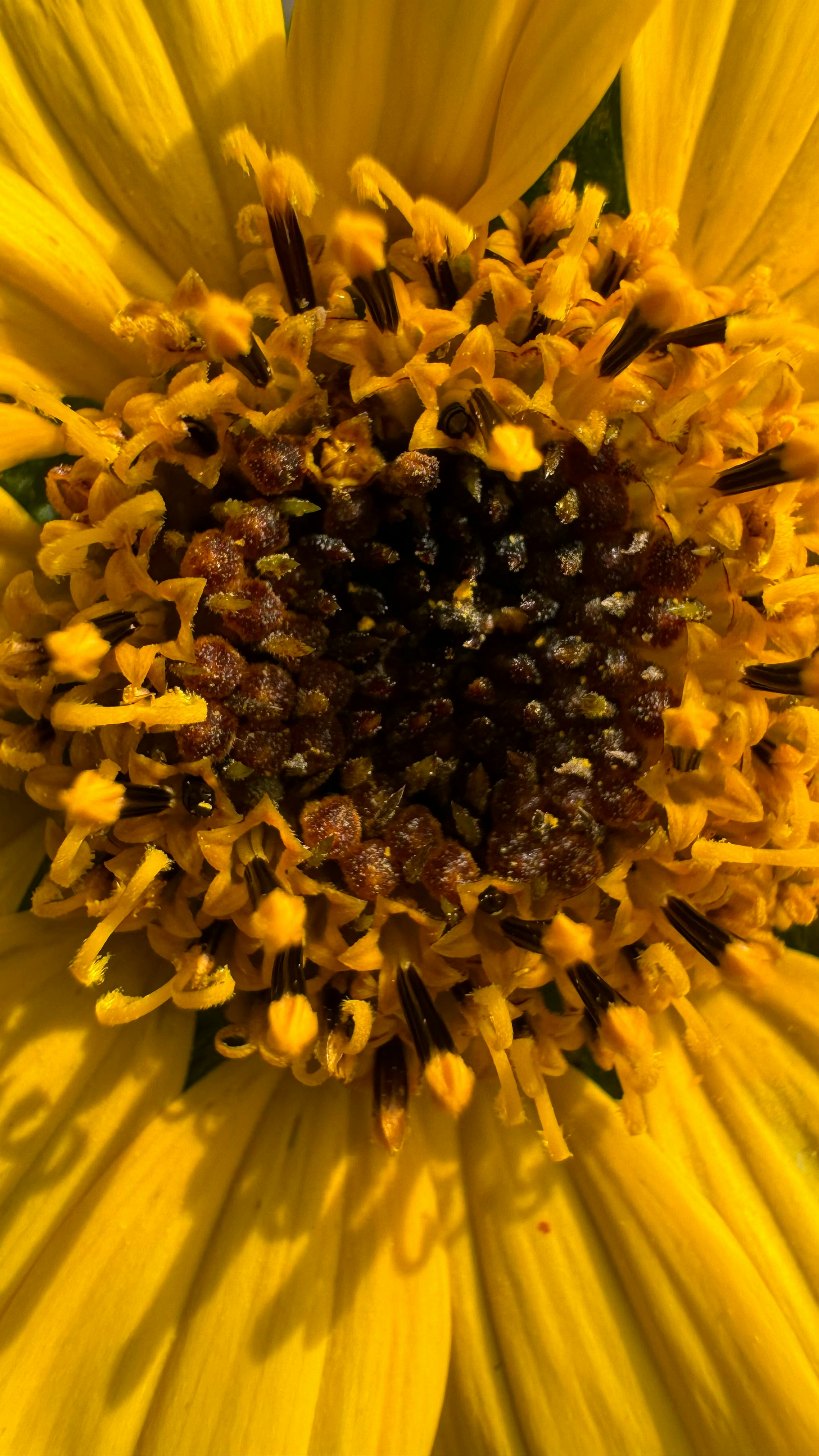 Photo by aurelia_santos