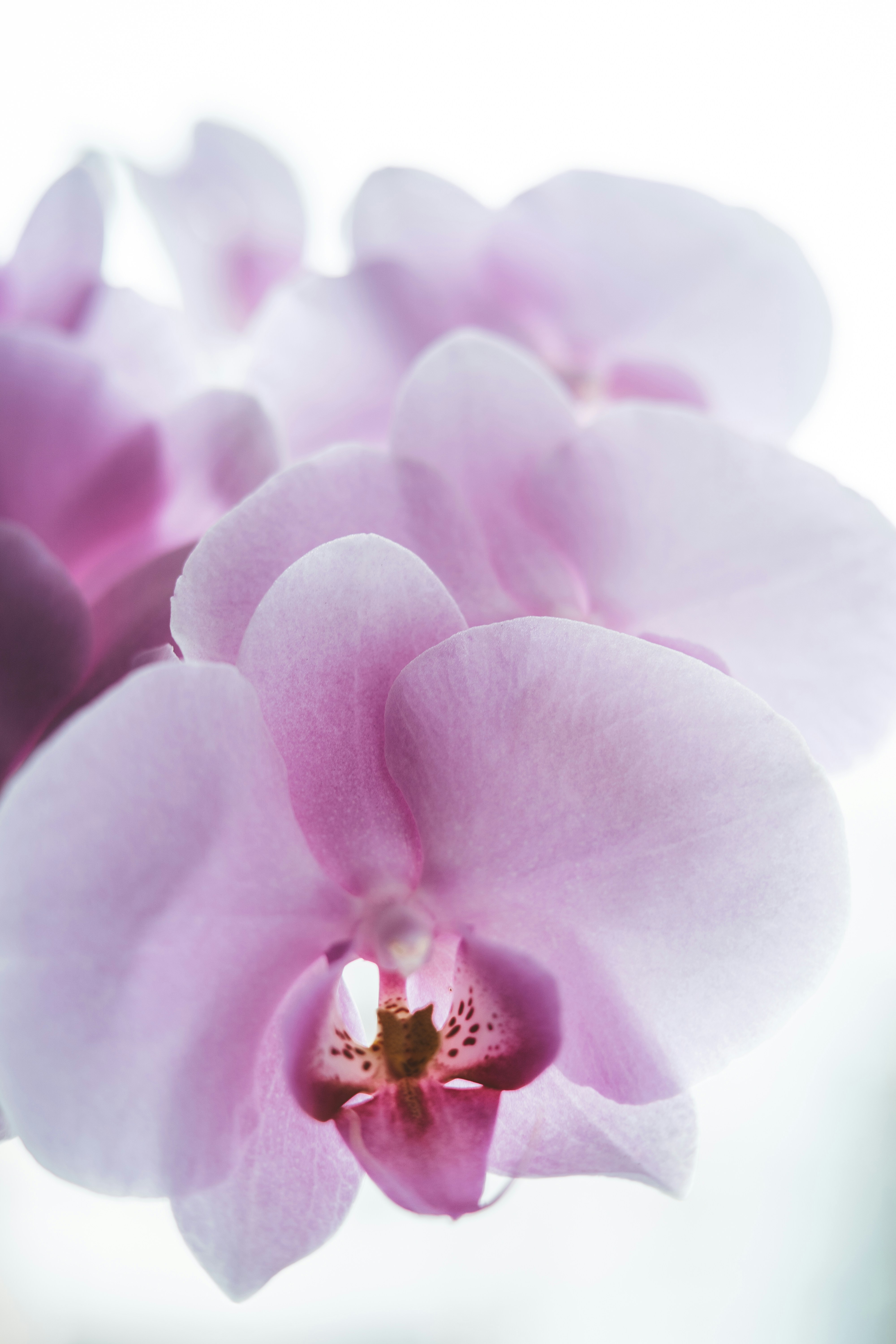 Photo by anamnesis33