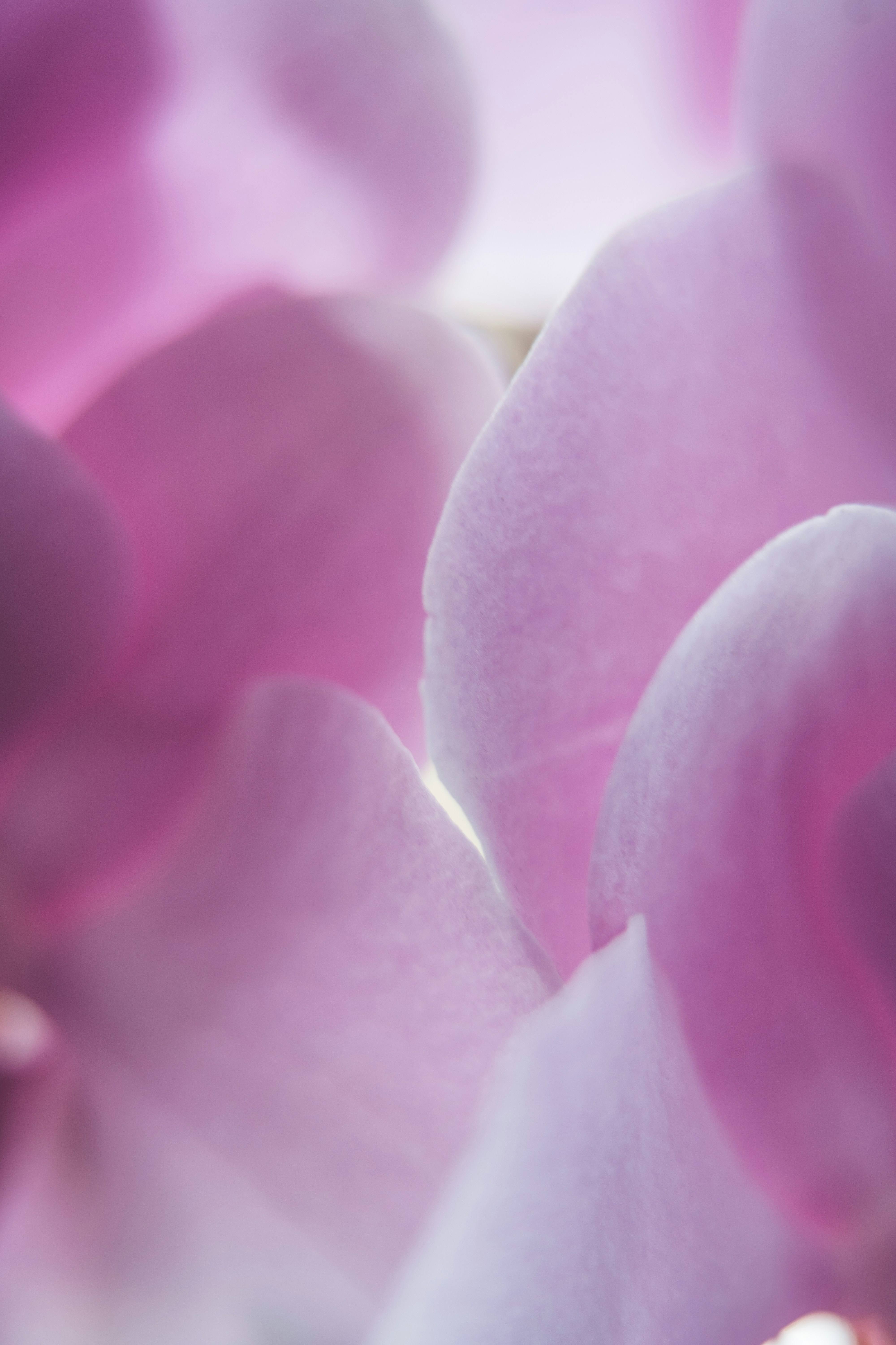 Photo by anamnesis33