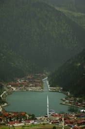 a large body of water surrounded by a lush green hillside