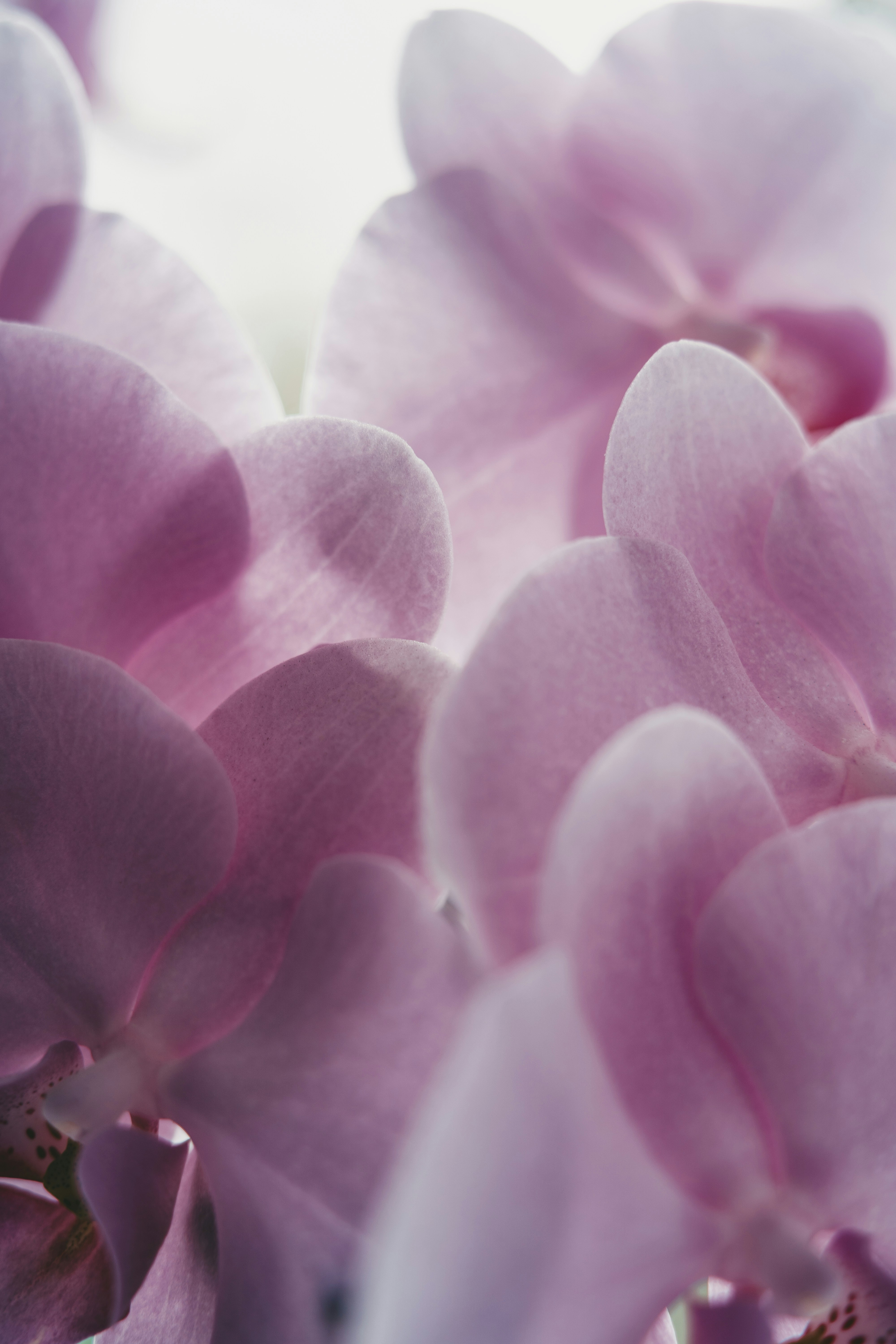 Photo by anamnesis33