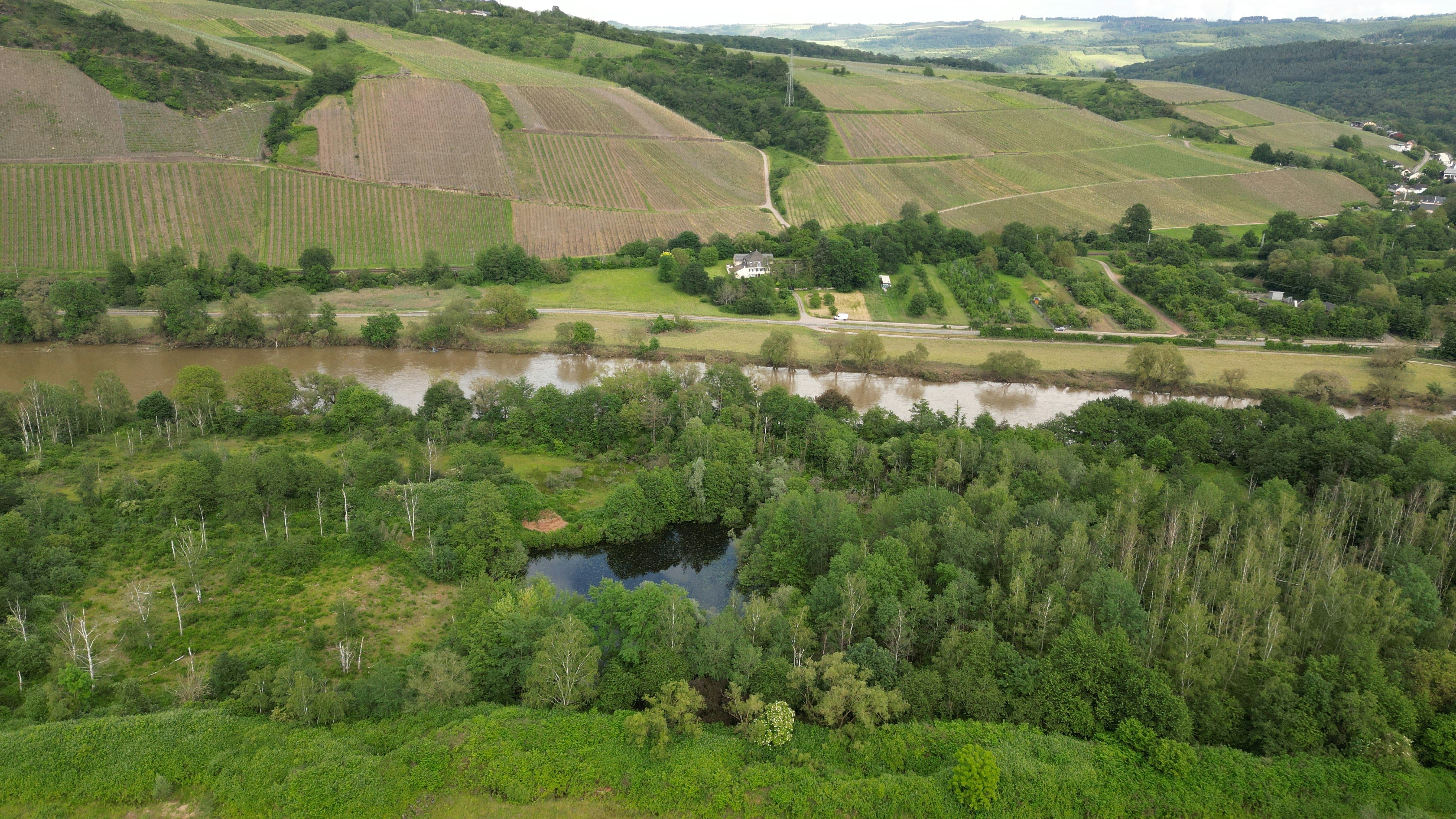 une rivière qui coule à travers une forêt verdoyante
