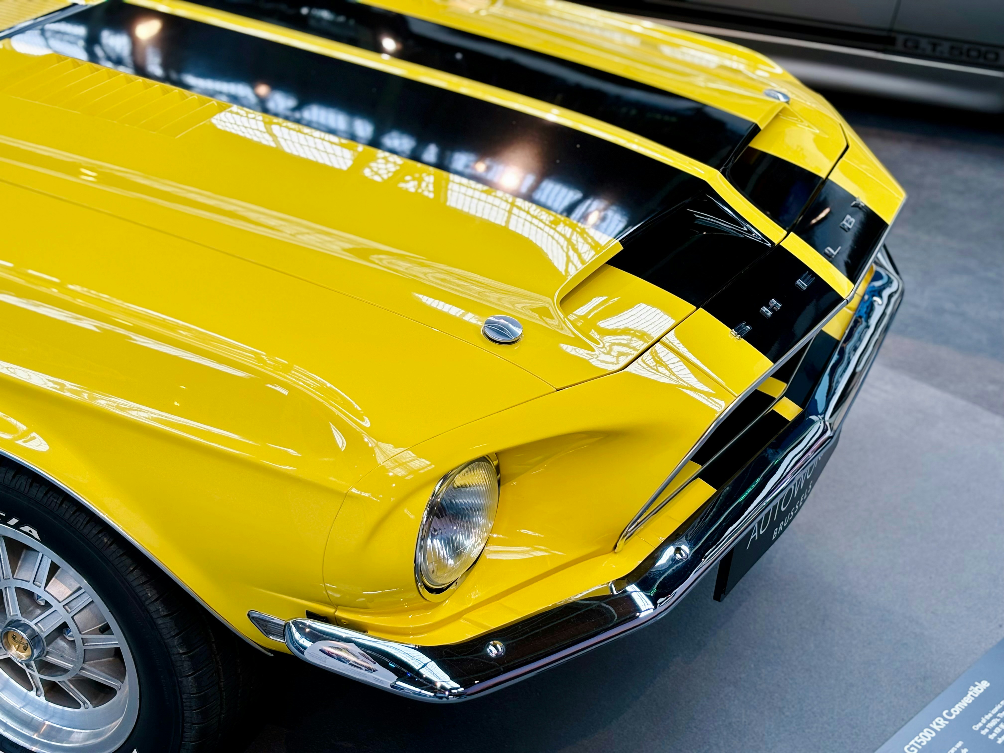 Photo by mehrdadbadiei