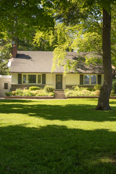a house with a tree in front of it