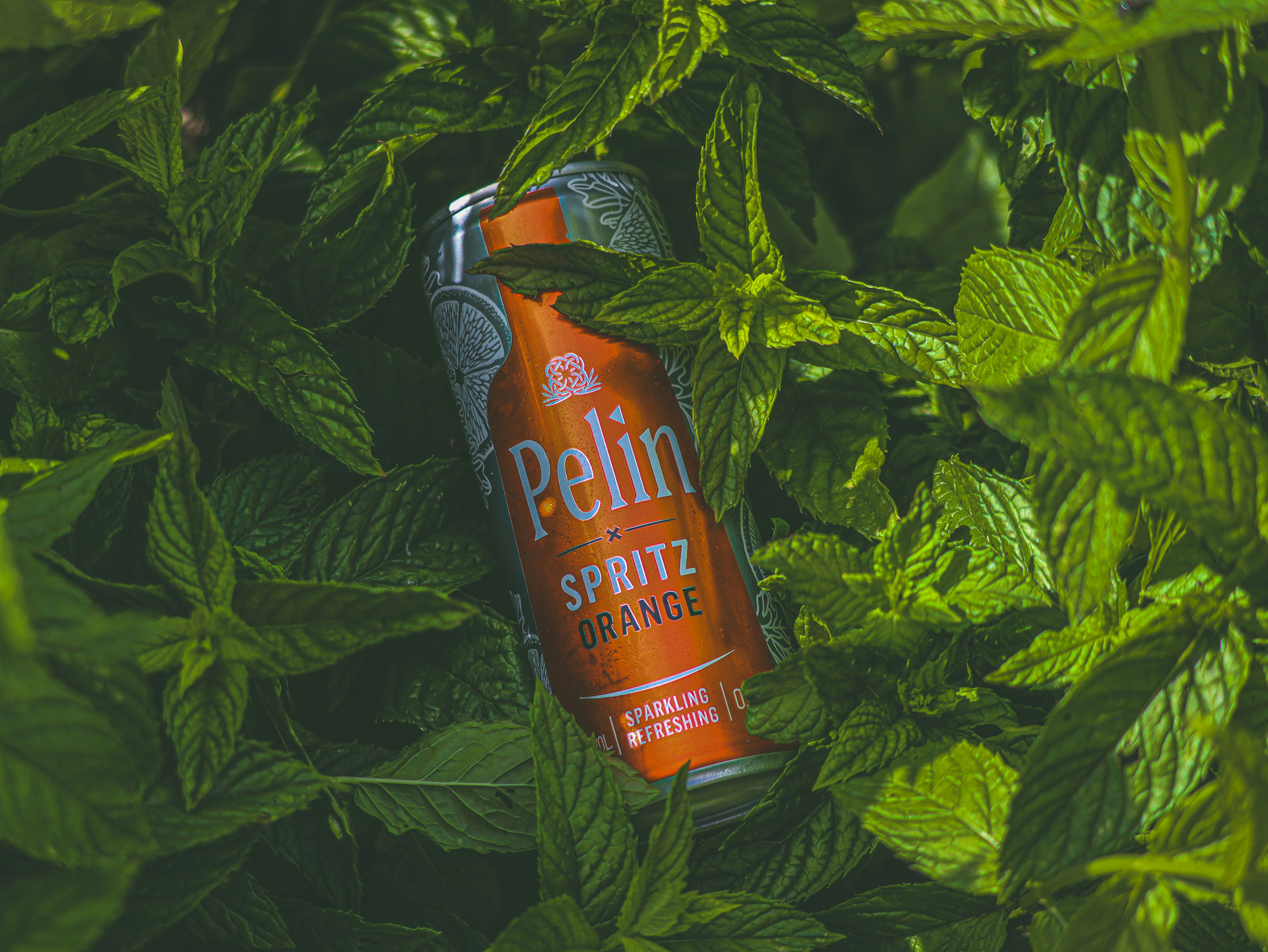 a can of beer sitting on top of a lush green plant