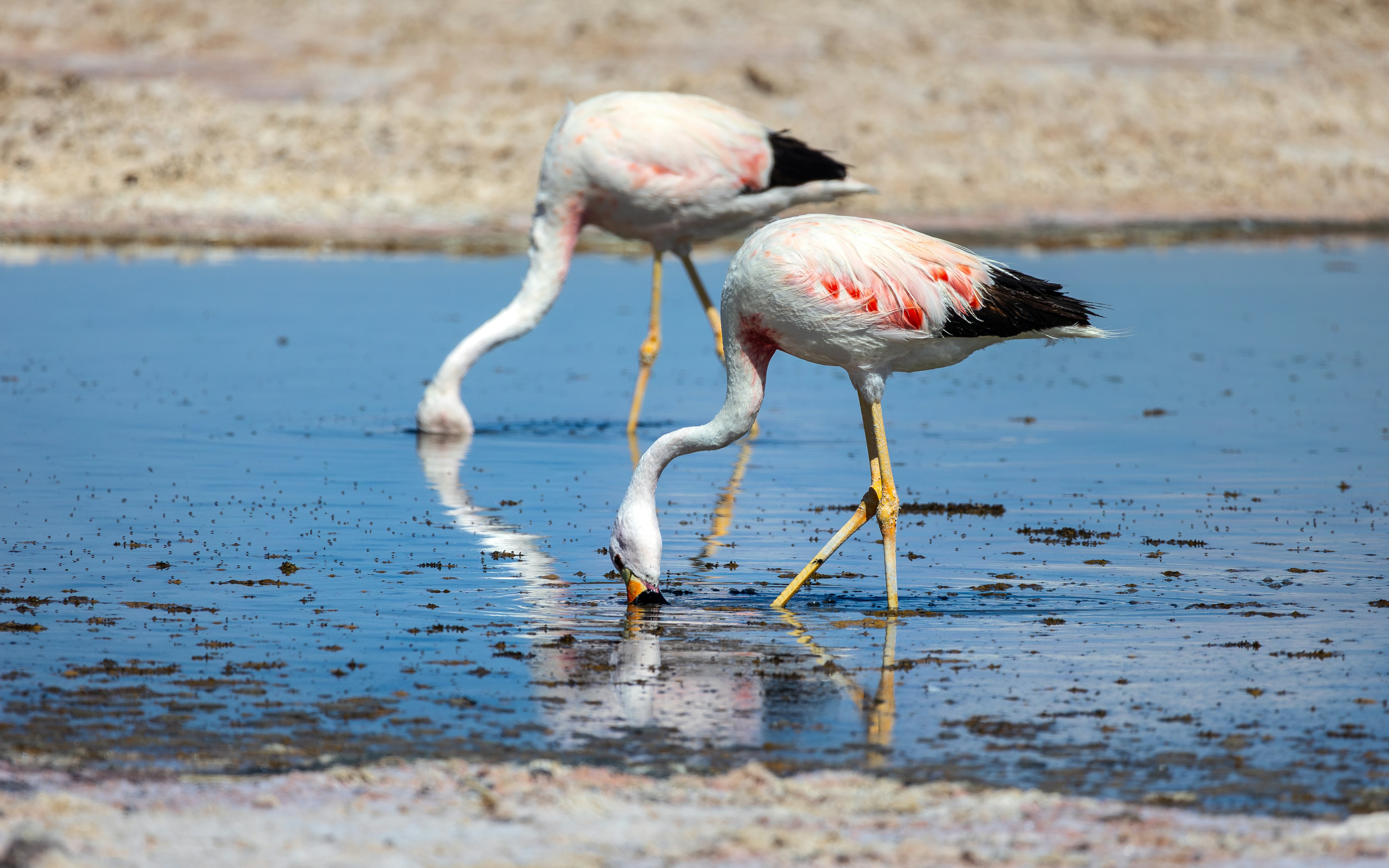 Photo by marekpiwnicki