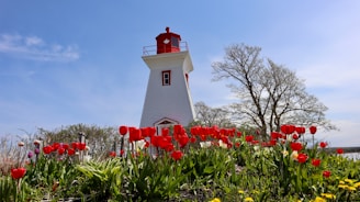a white and red light house surrounded by flowers