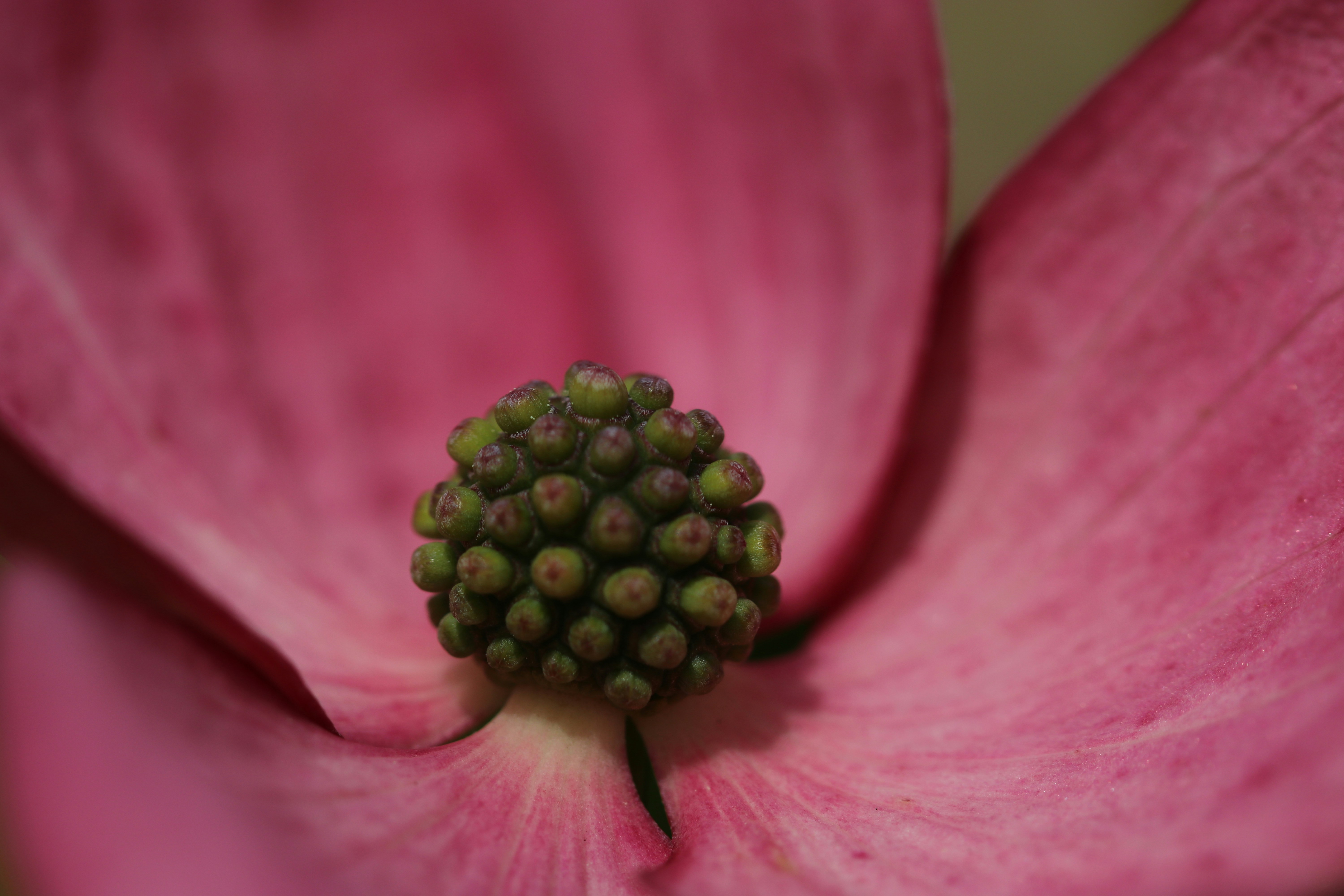 Photo by romainverdy