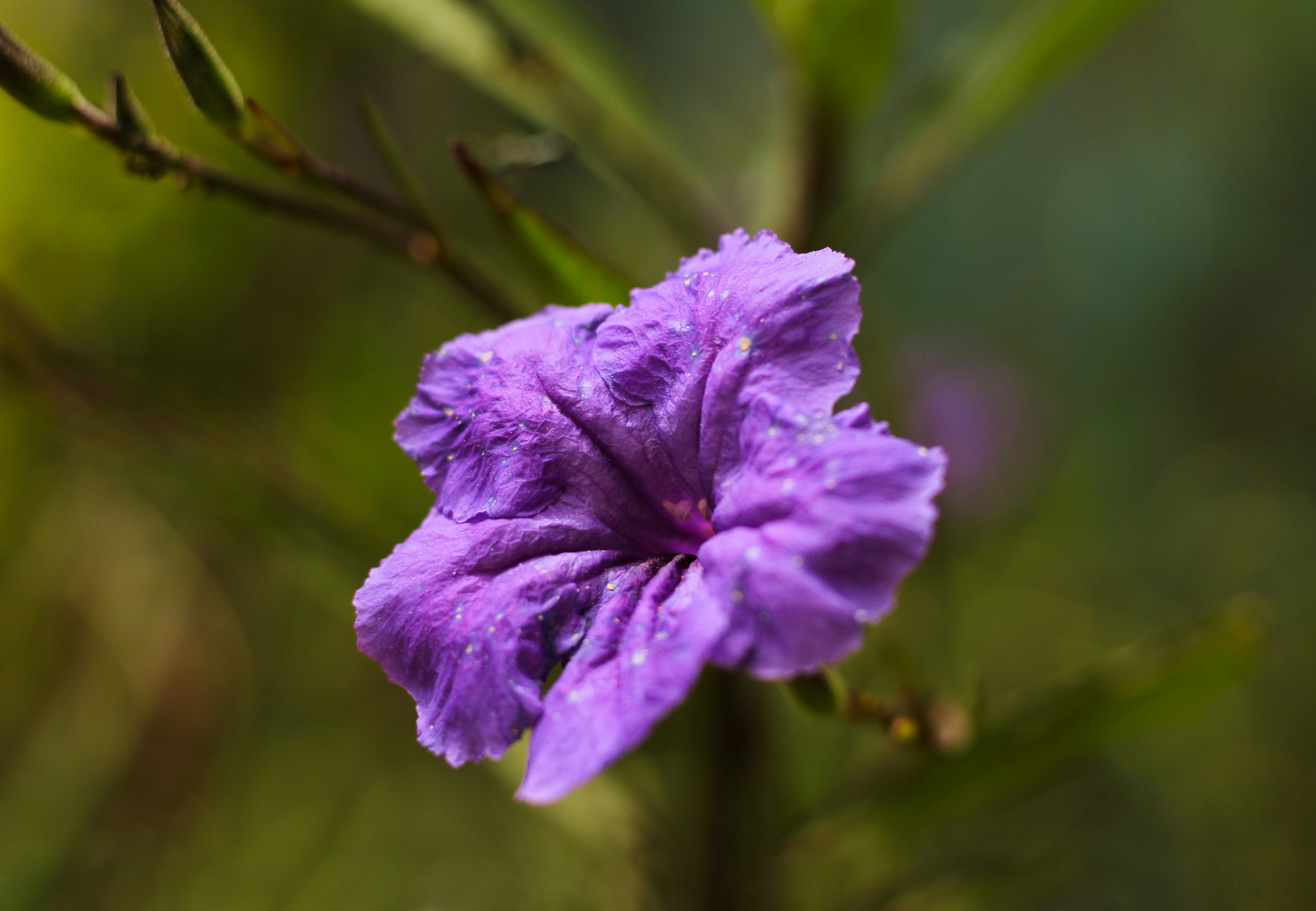 Photo by tipografia_izzo