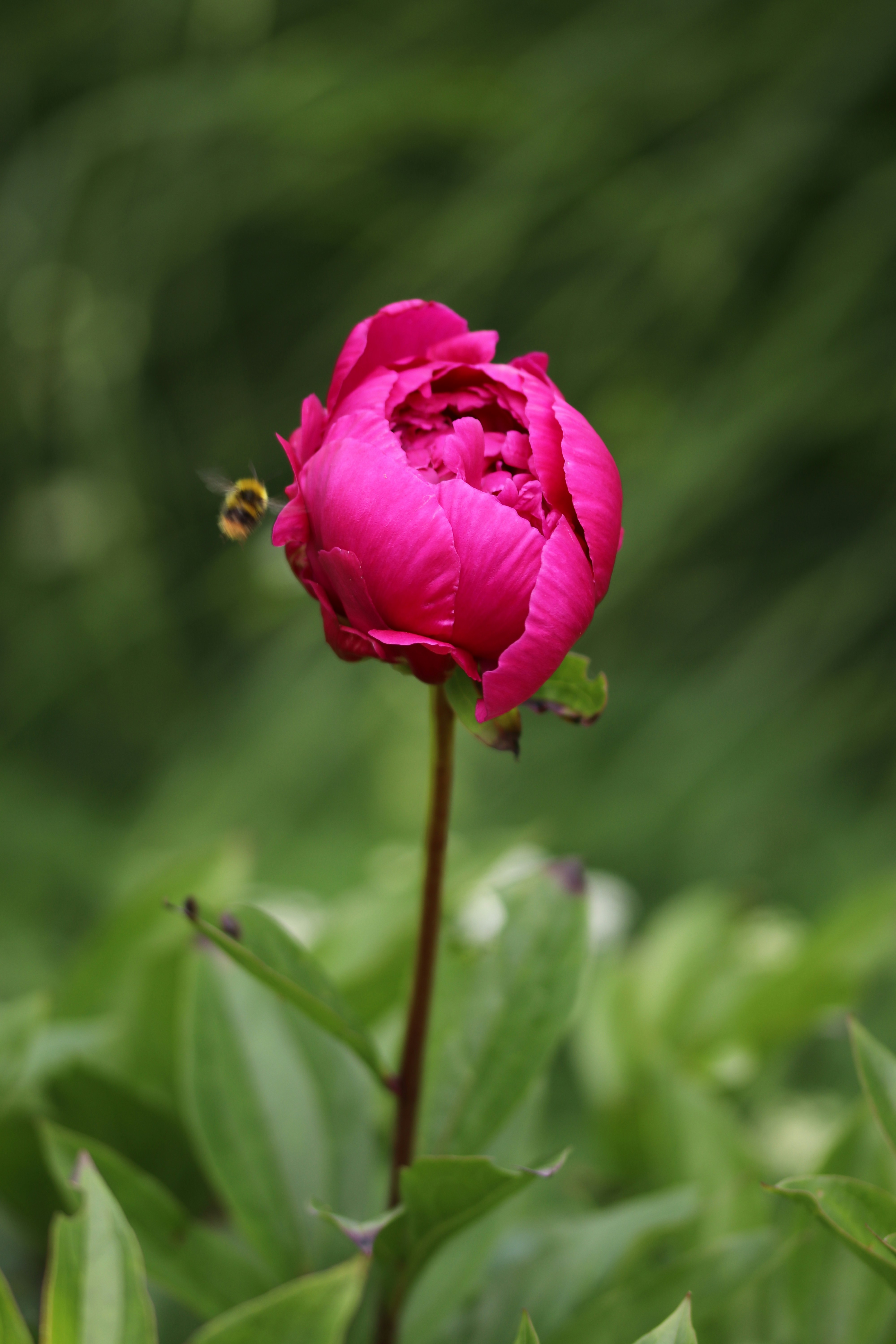 Photo by romainverdy