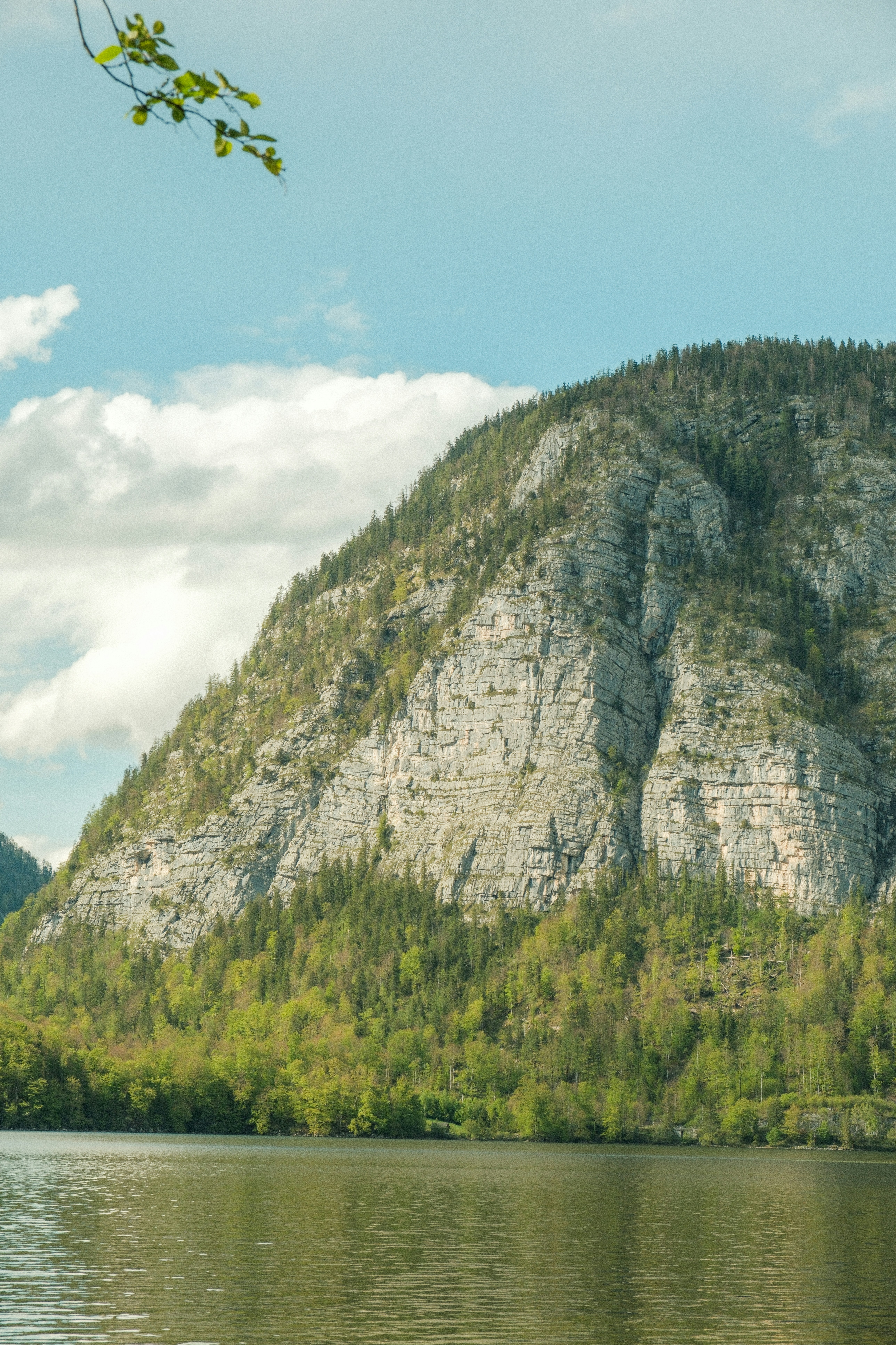 Photo by alexispresa