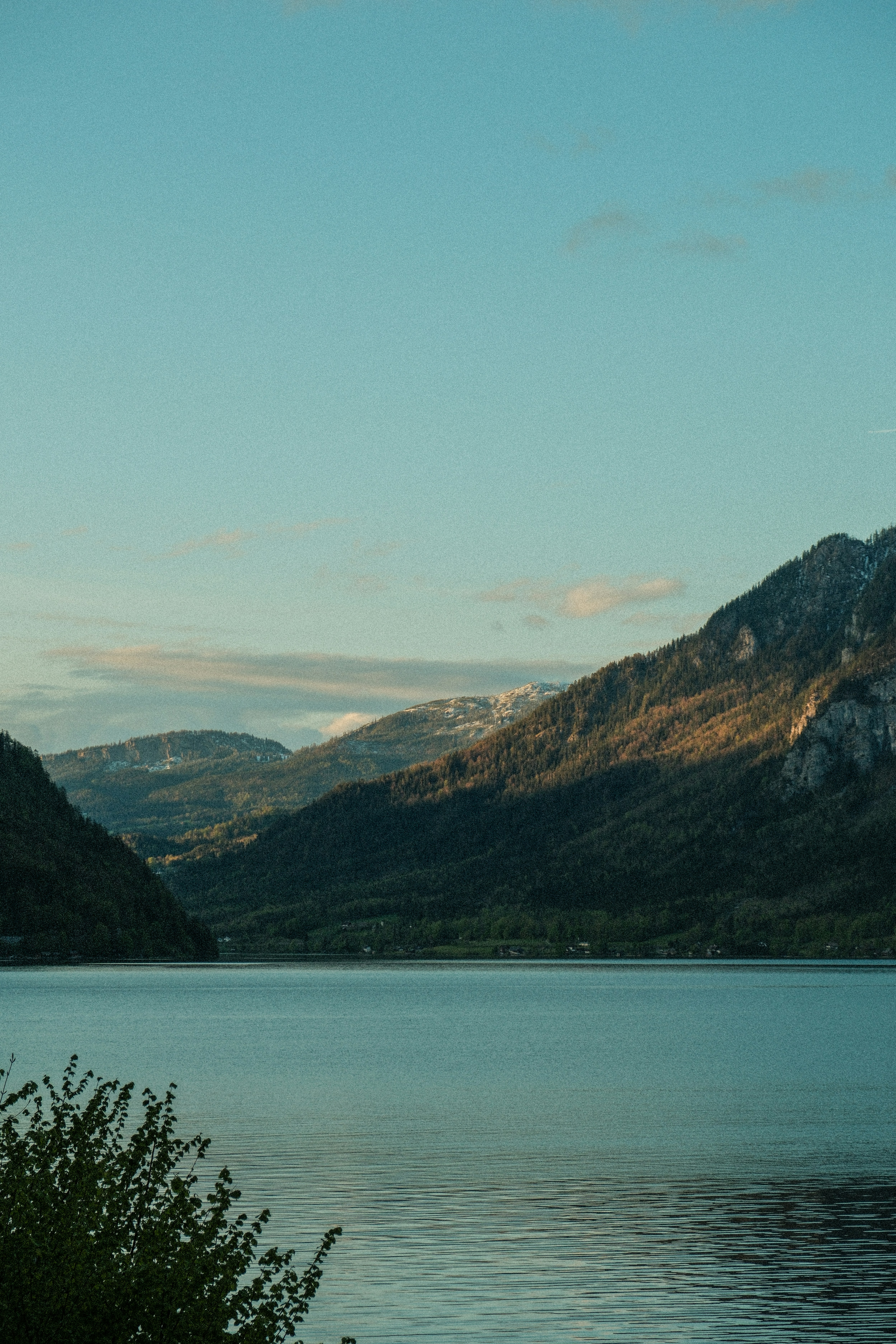 Photo by alexispresa