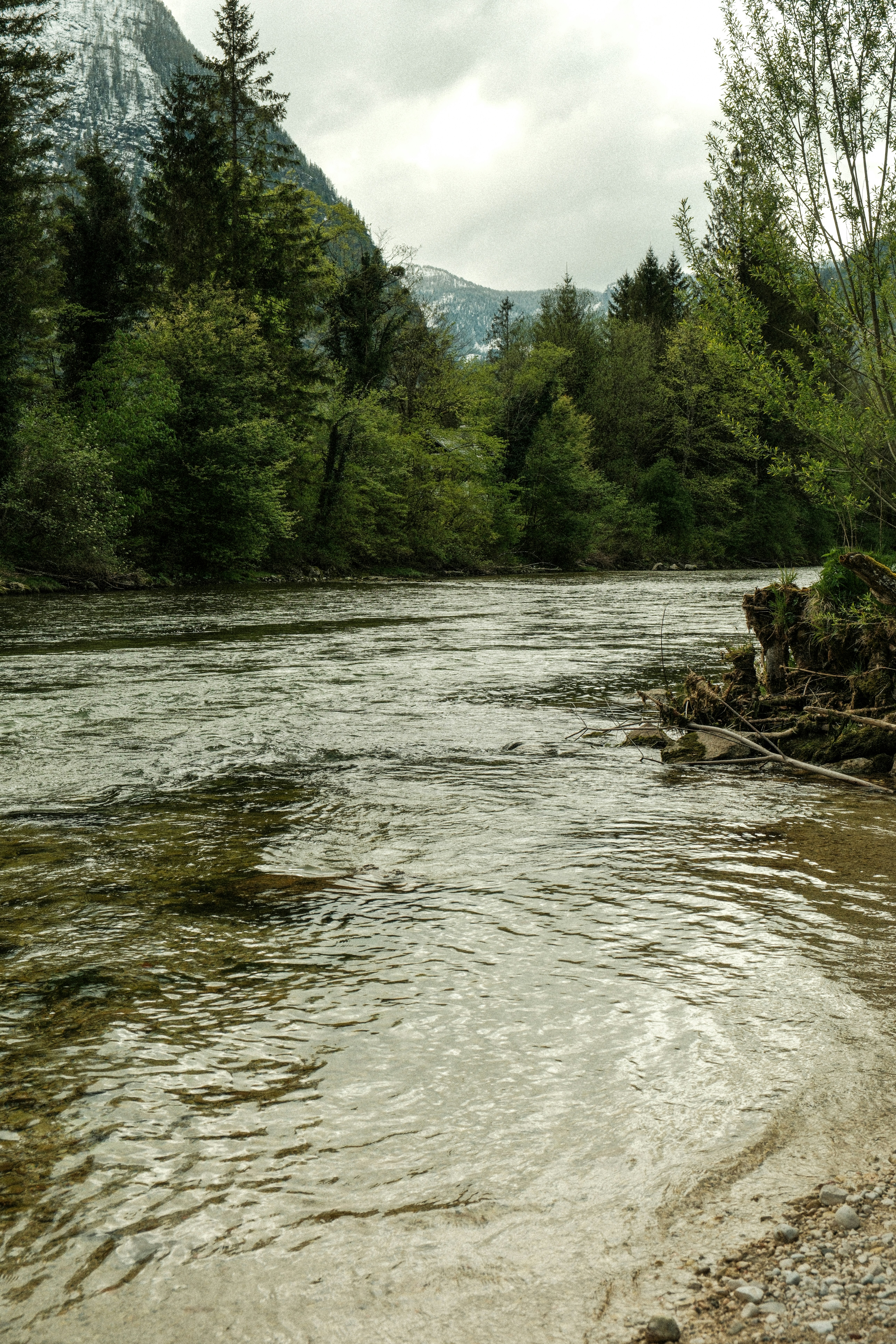 Photo by alexispresa