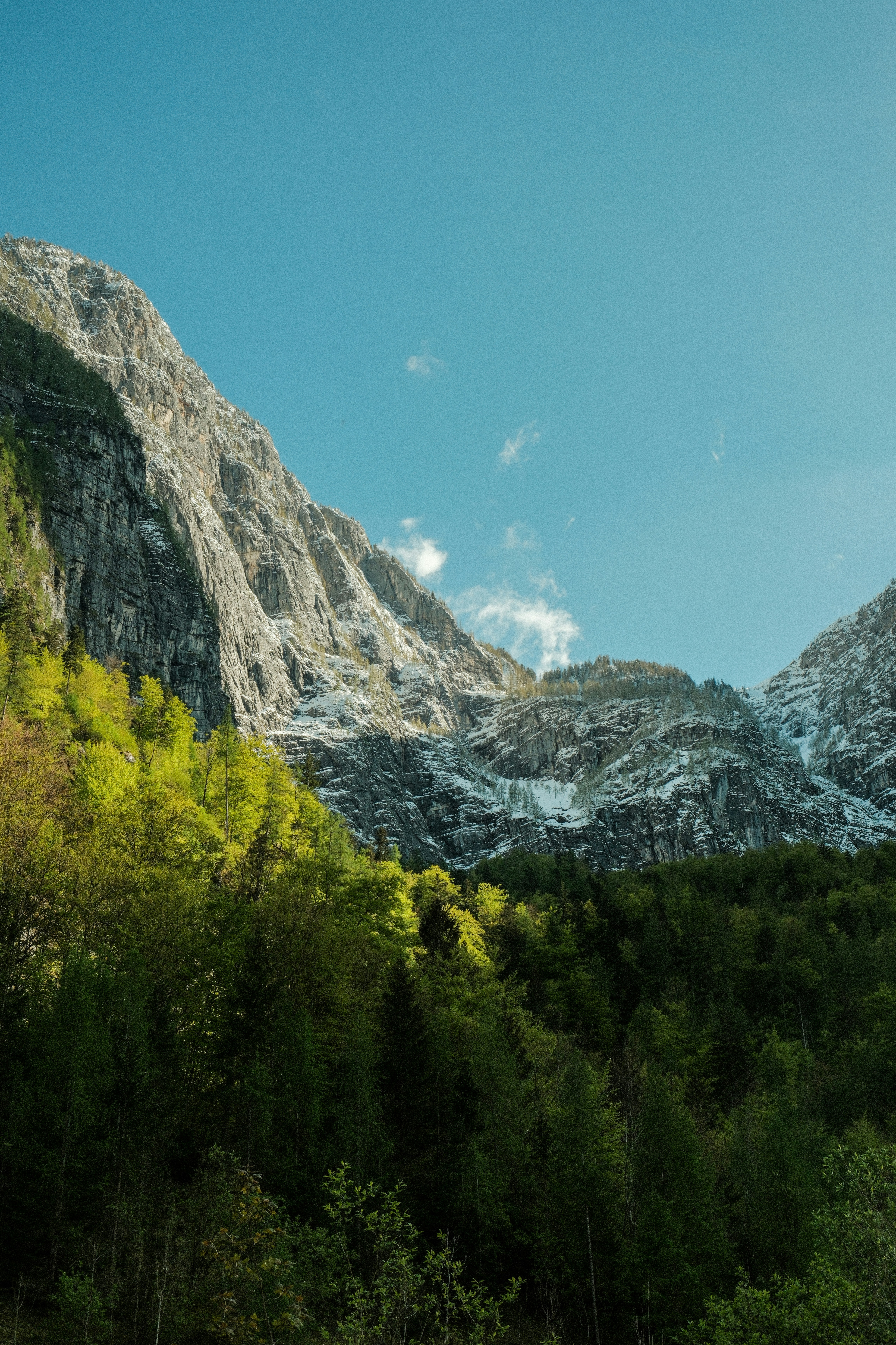 Photo by alexispresa