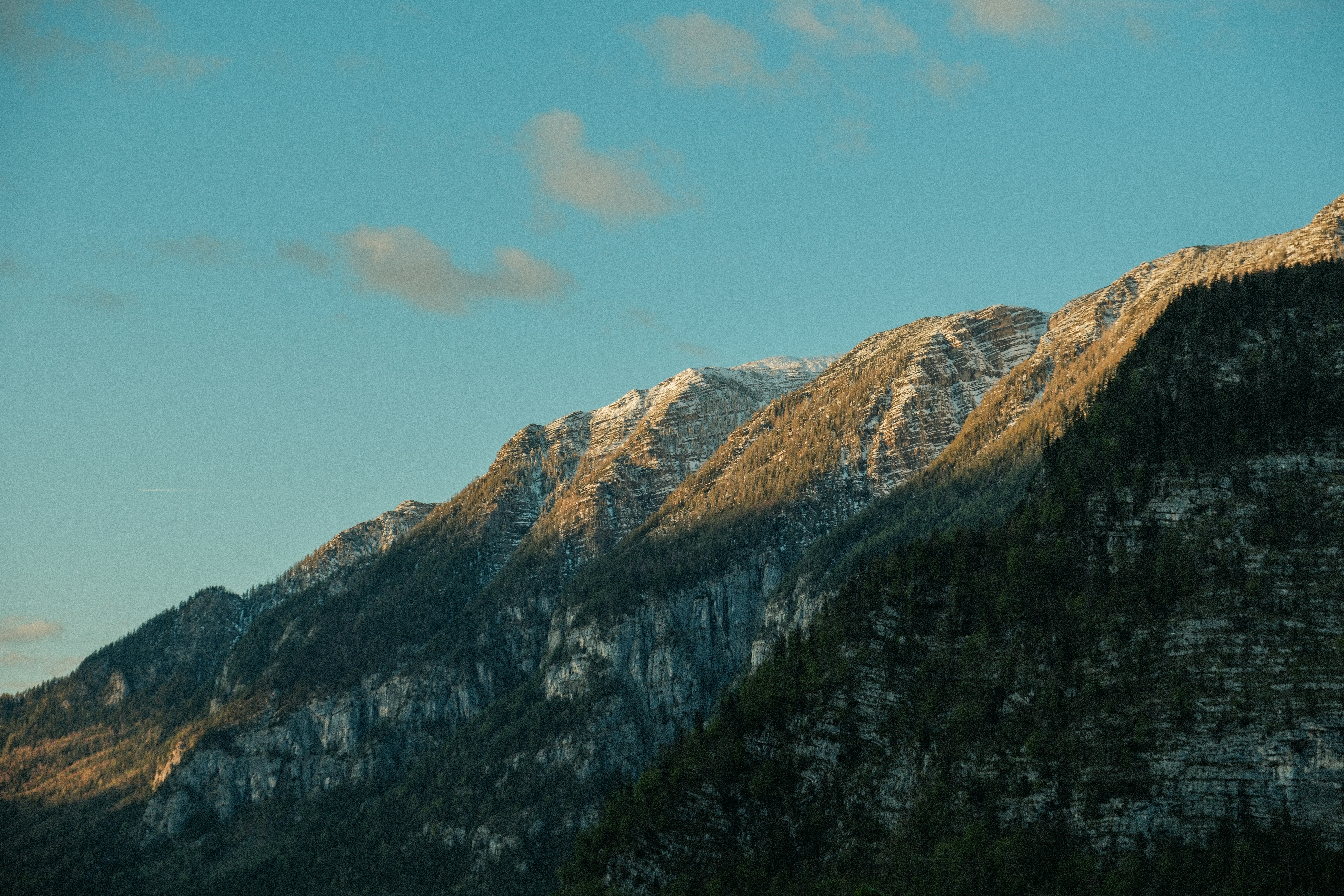 Photo by alexispresa