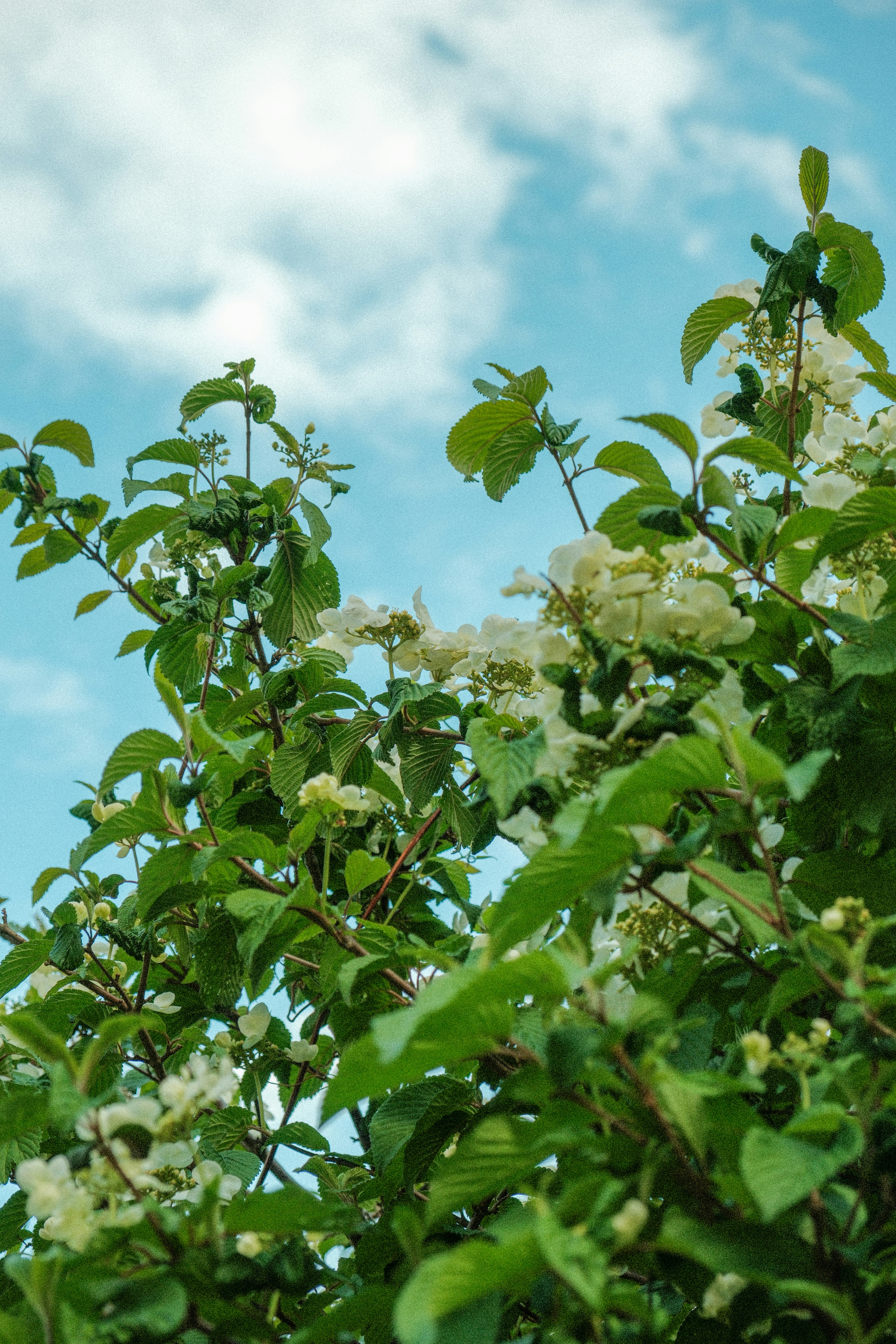 Photo by alexispresa