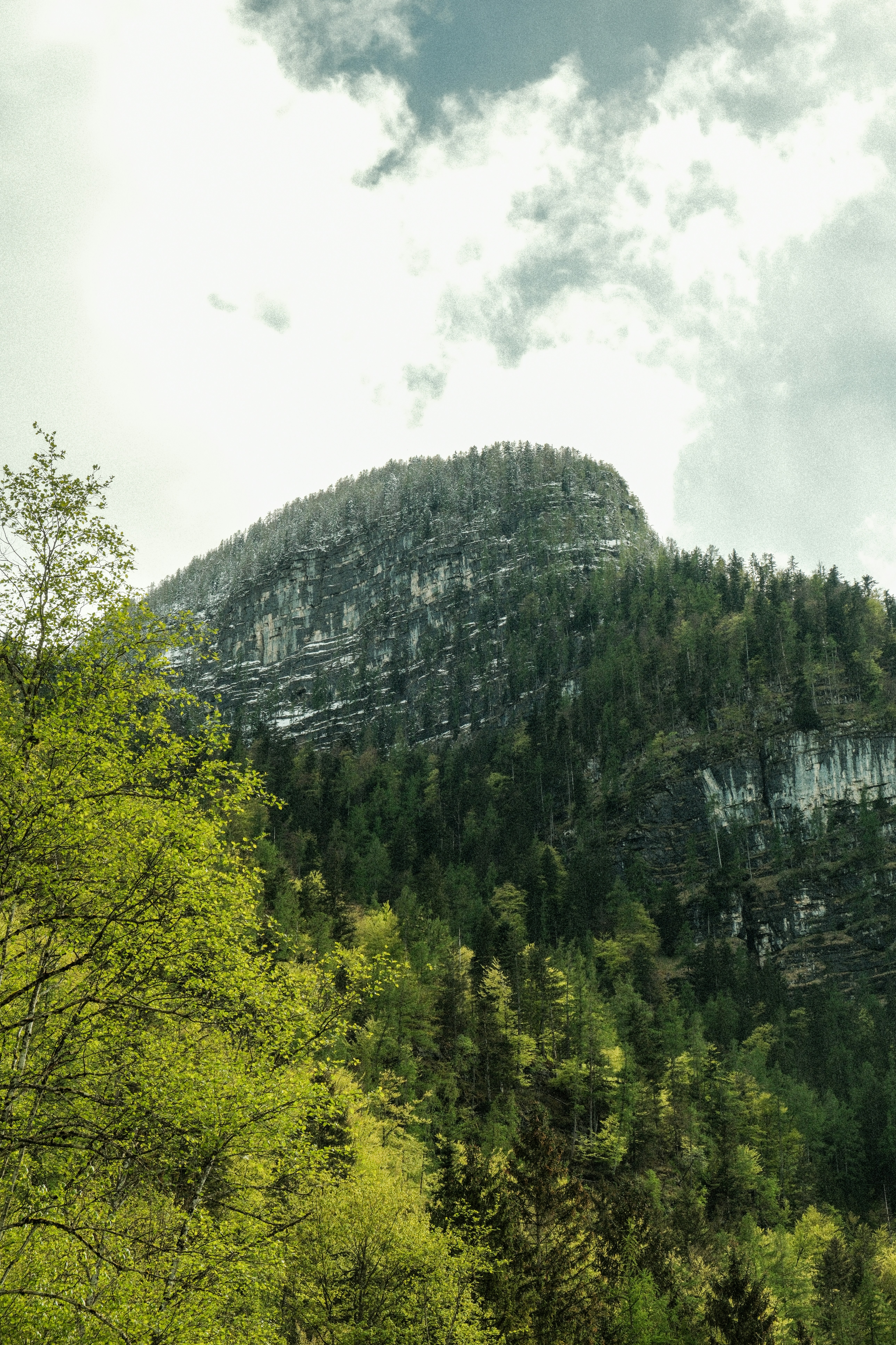 Photo by alexispresa