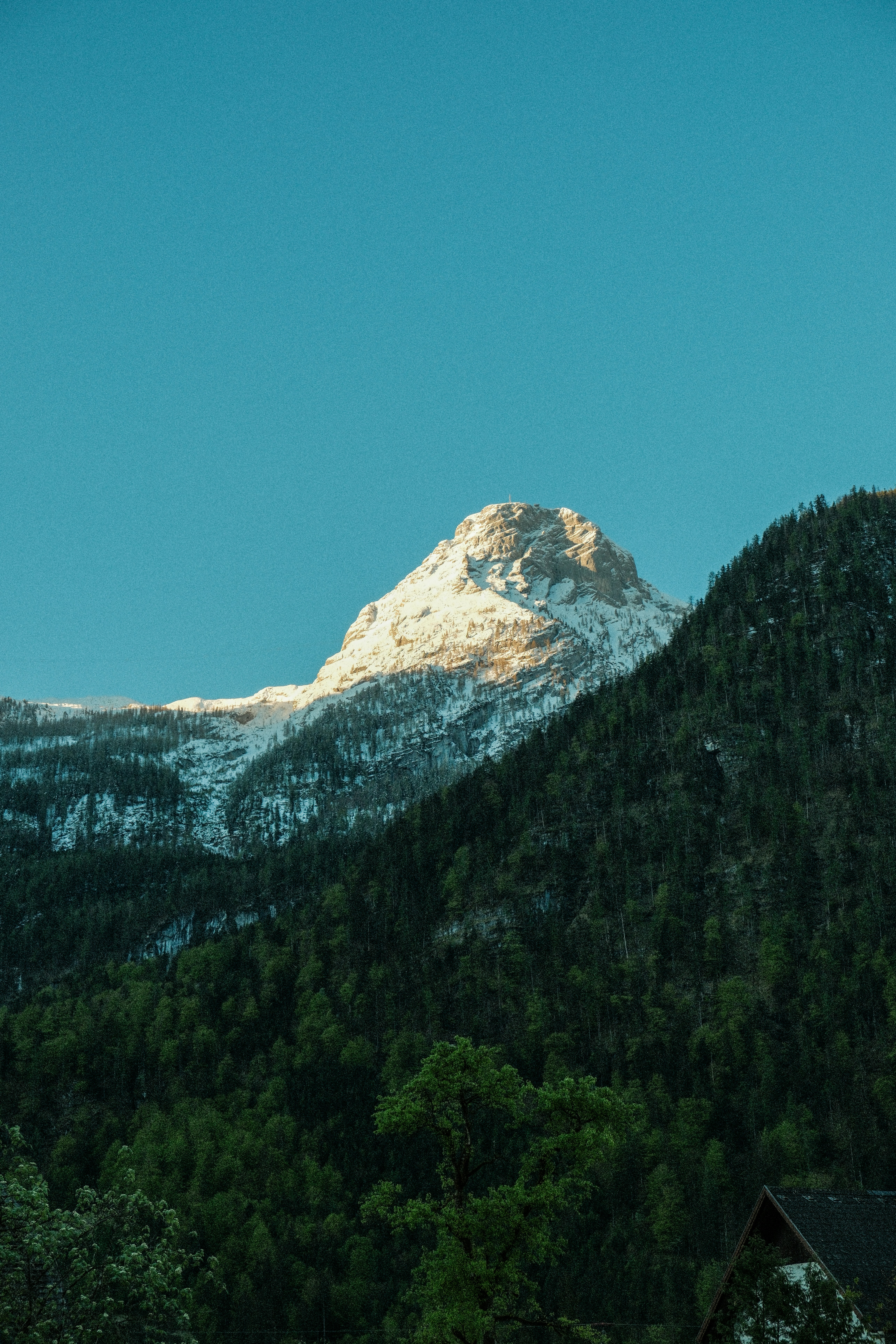 Photo by alexispresa