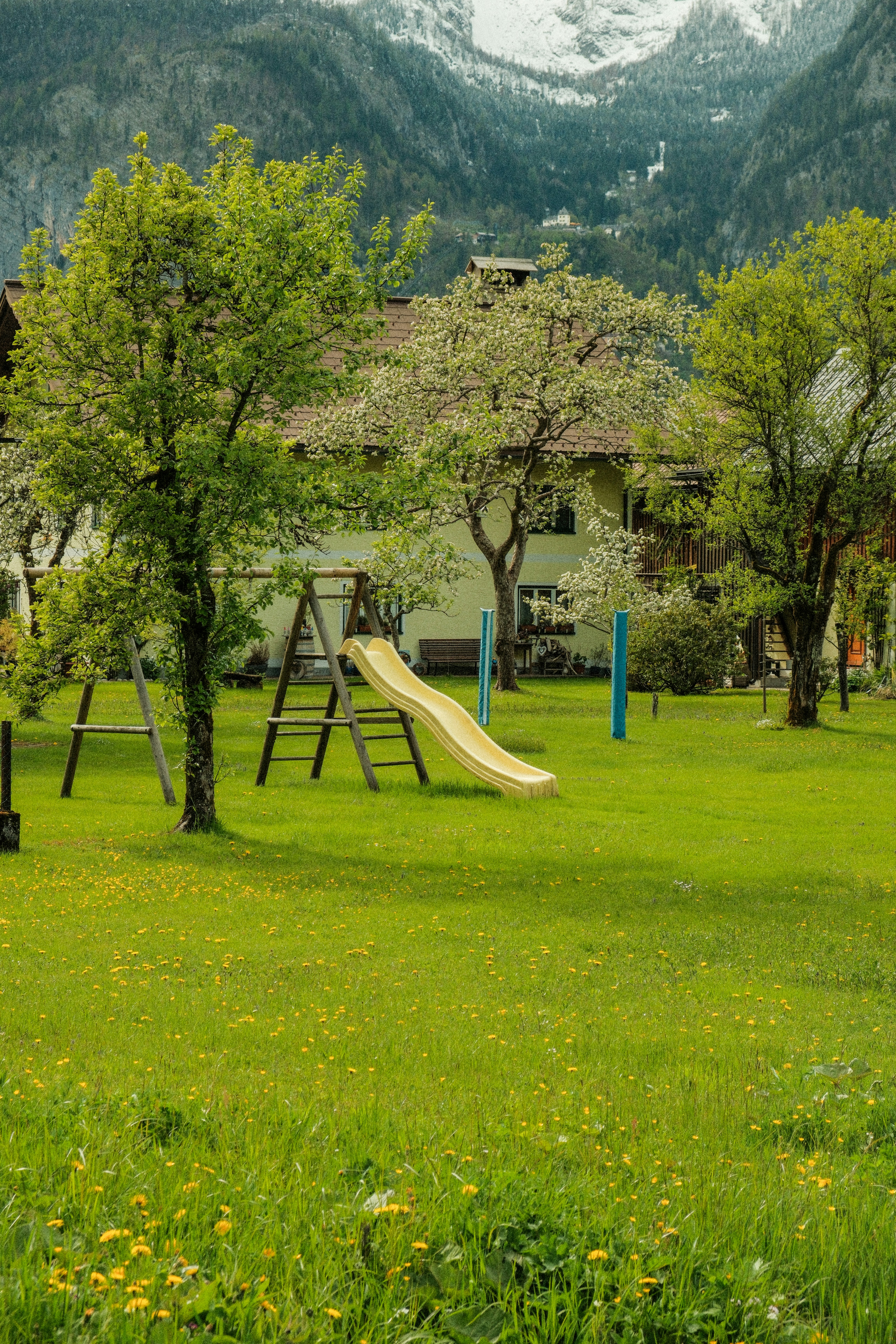 a playground with a slide and a tree in the foreground