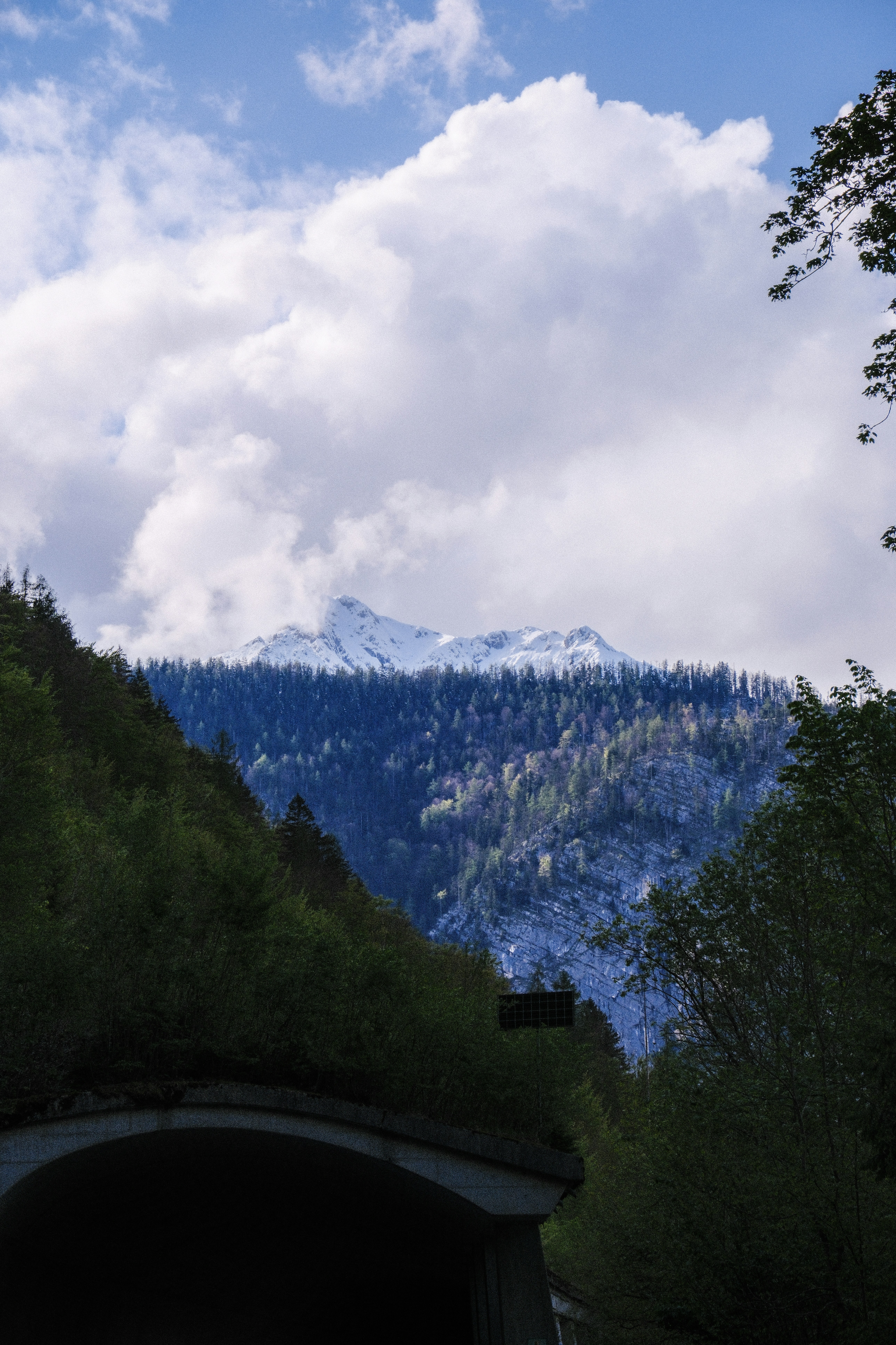 Photo by alexispresa